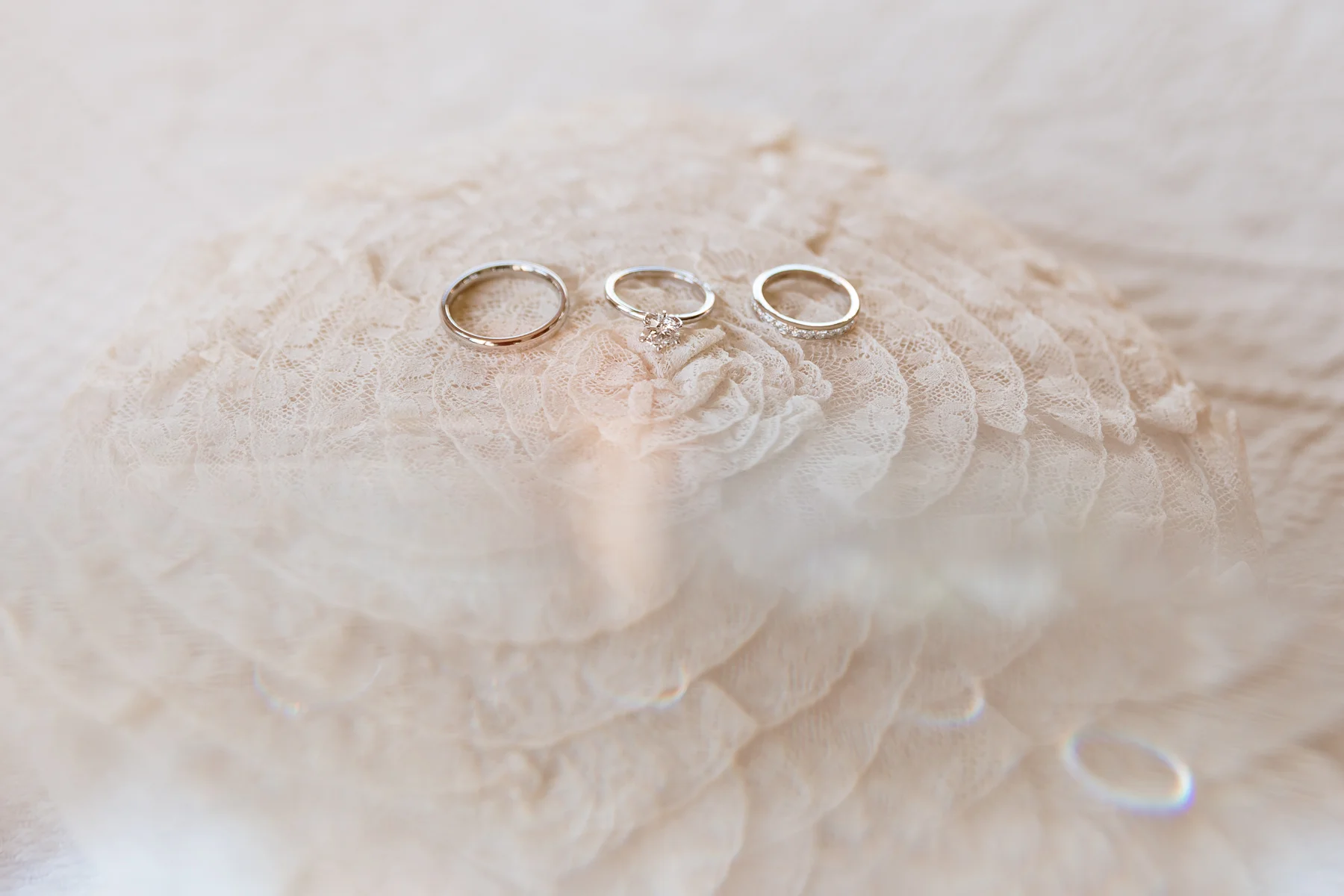 cateswedding_lo_res-32.jpg