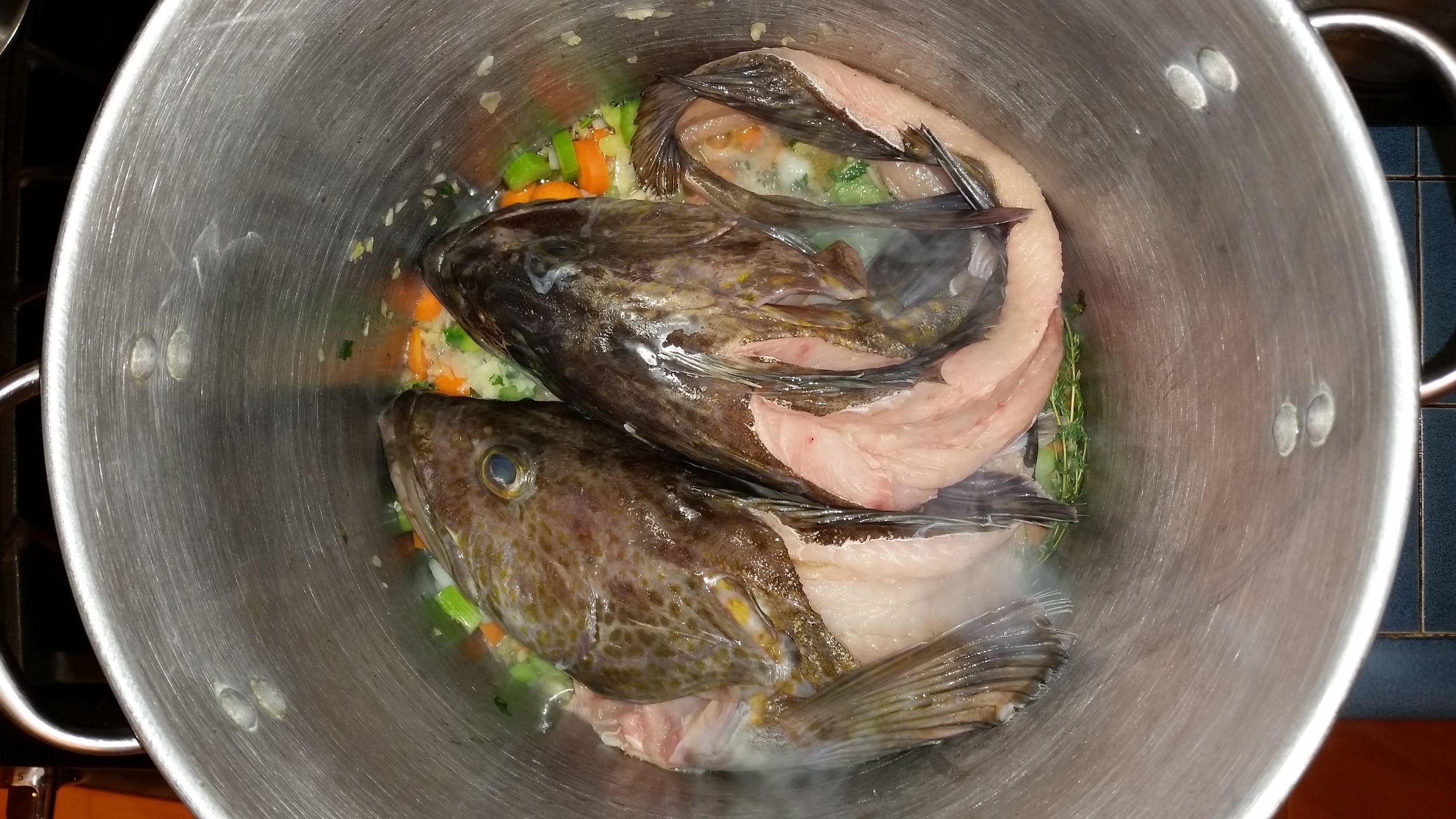 fish stock_heads.jpg