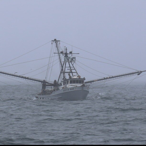 Jon Anderson was on a bird watching charter on the F/V Monte Carlo our of Westport WA and took this real nice shot of us while we were trying to find some pink shrimp he other day. Thanks Jon!