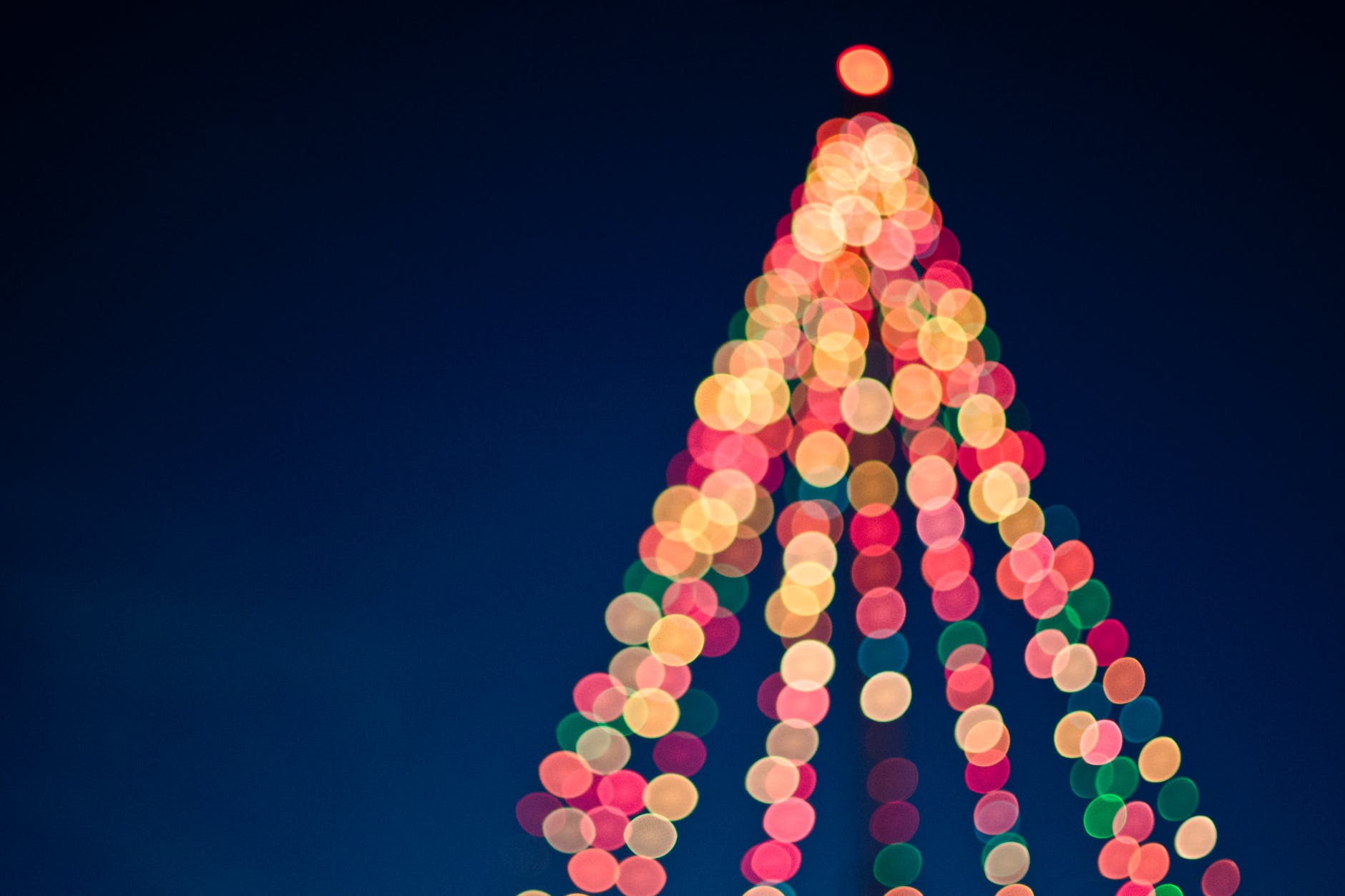 tree of lights.jpeg