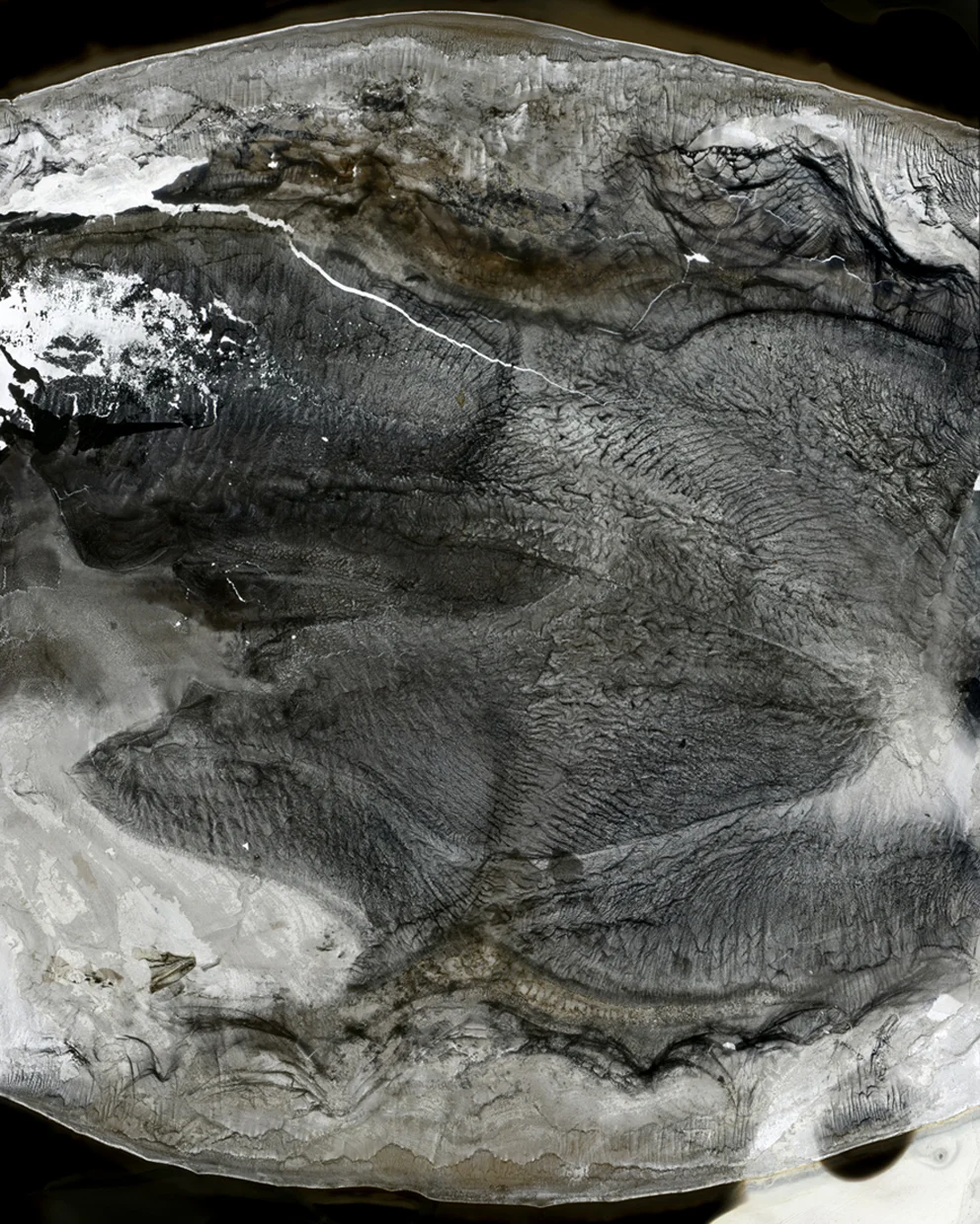 2012 Metallic Chrmogenic Print 40"x50"