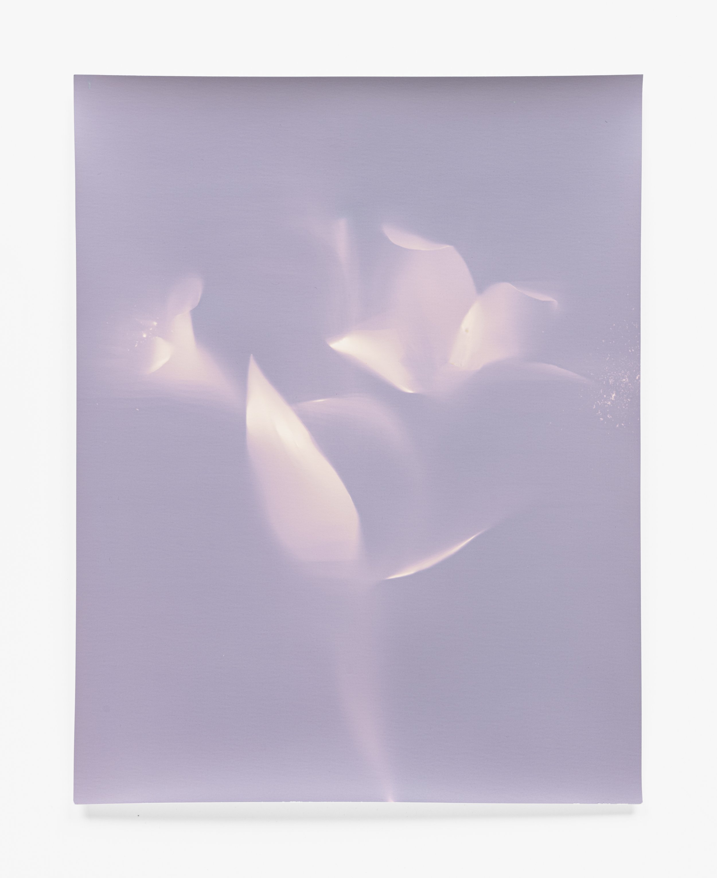 NEWWORK-187-Edit.jpg
