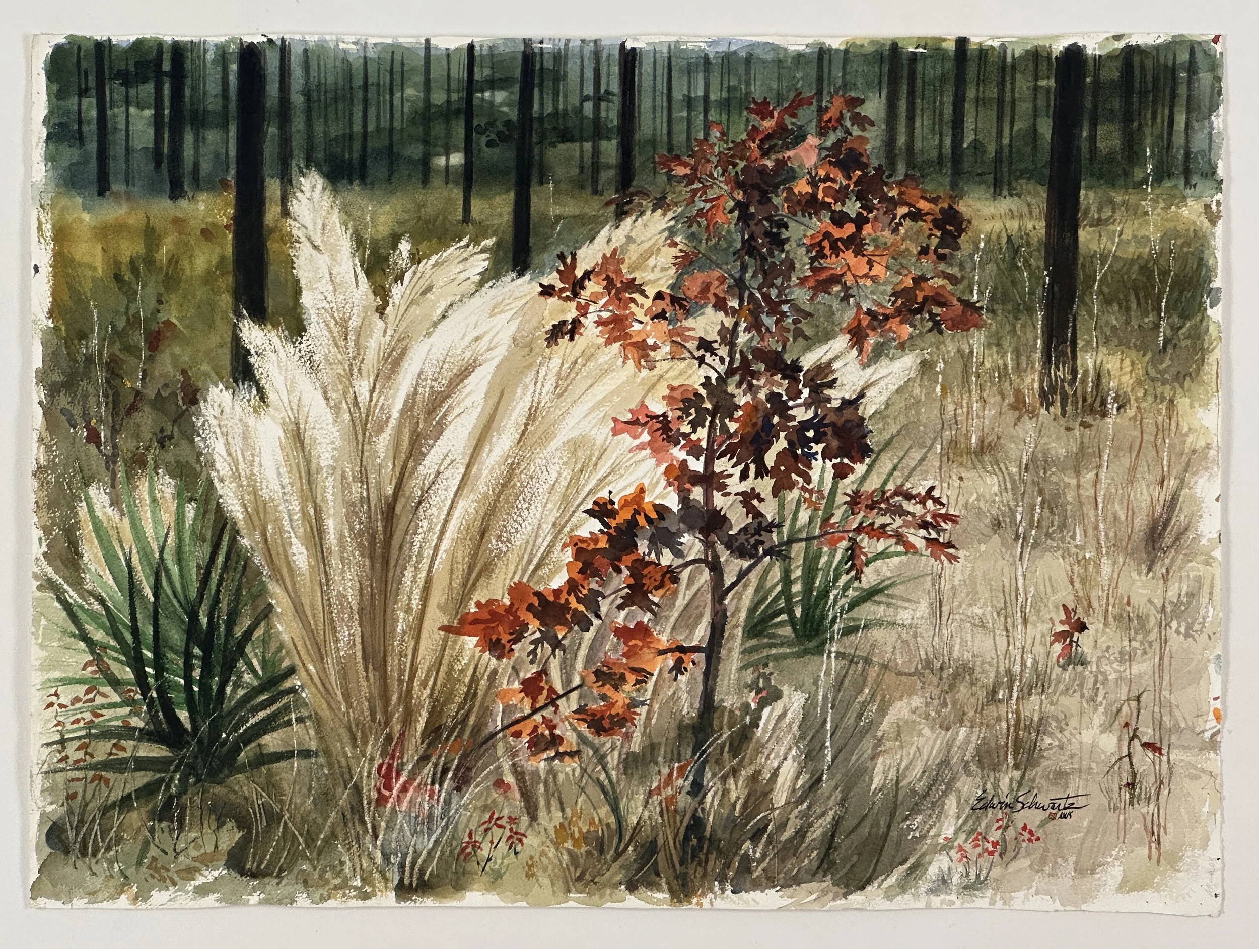 ES_6767.JPG