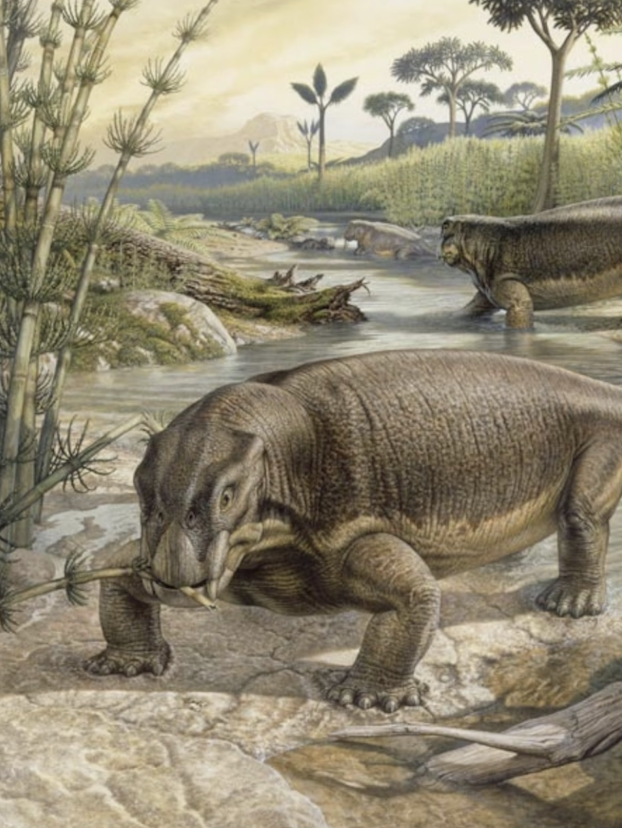 The Permian Triassic Extinction by Julian Nowlin 