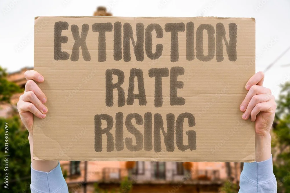 Extinction on the Rise  By Sawyer Schweizer