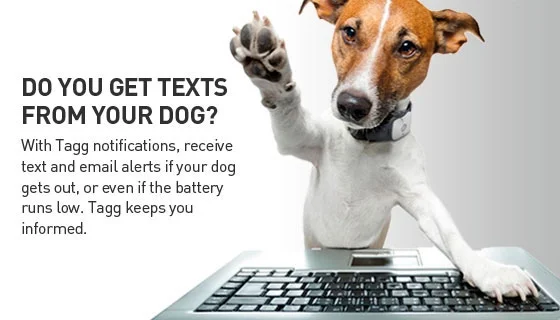 Tagg-Pet-Texts-GPS-Pet-Tracking-4.jpg