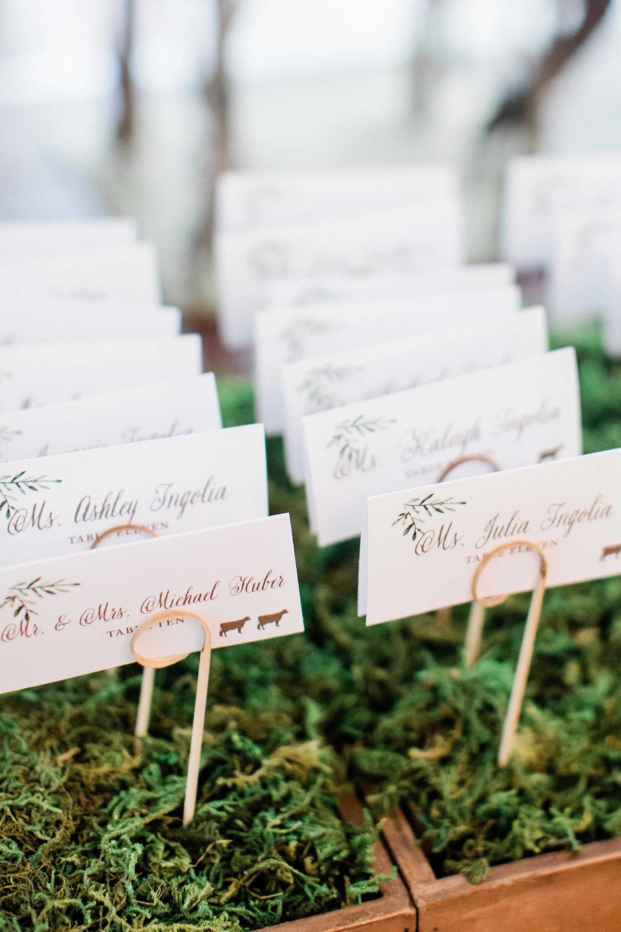 Erica&Ben-826.jpg
