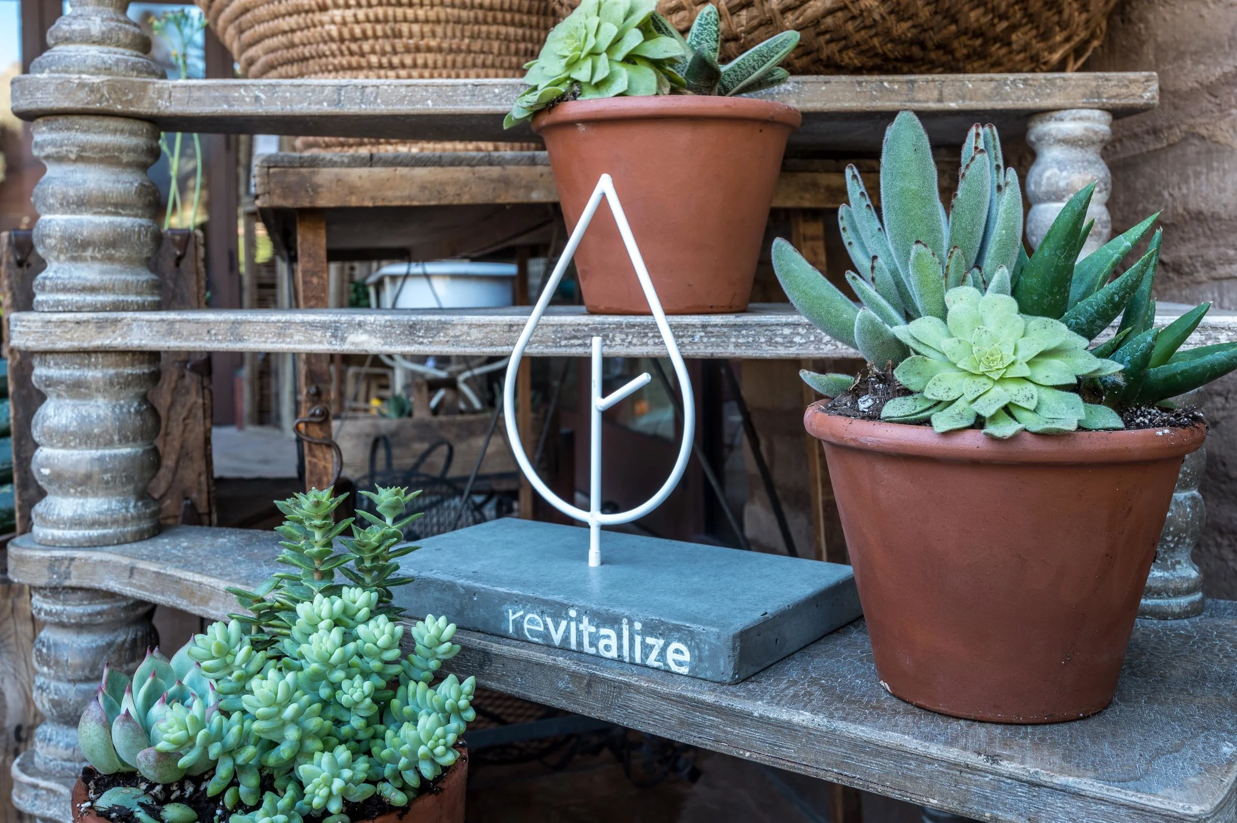 Revitalize-37.jpg