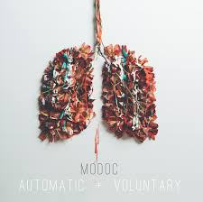 MODOC Automatic + Voluntary