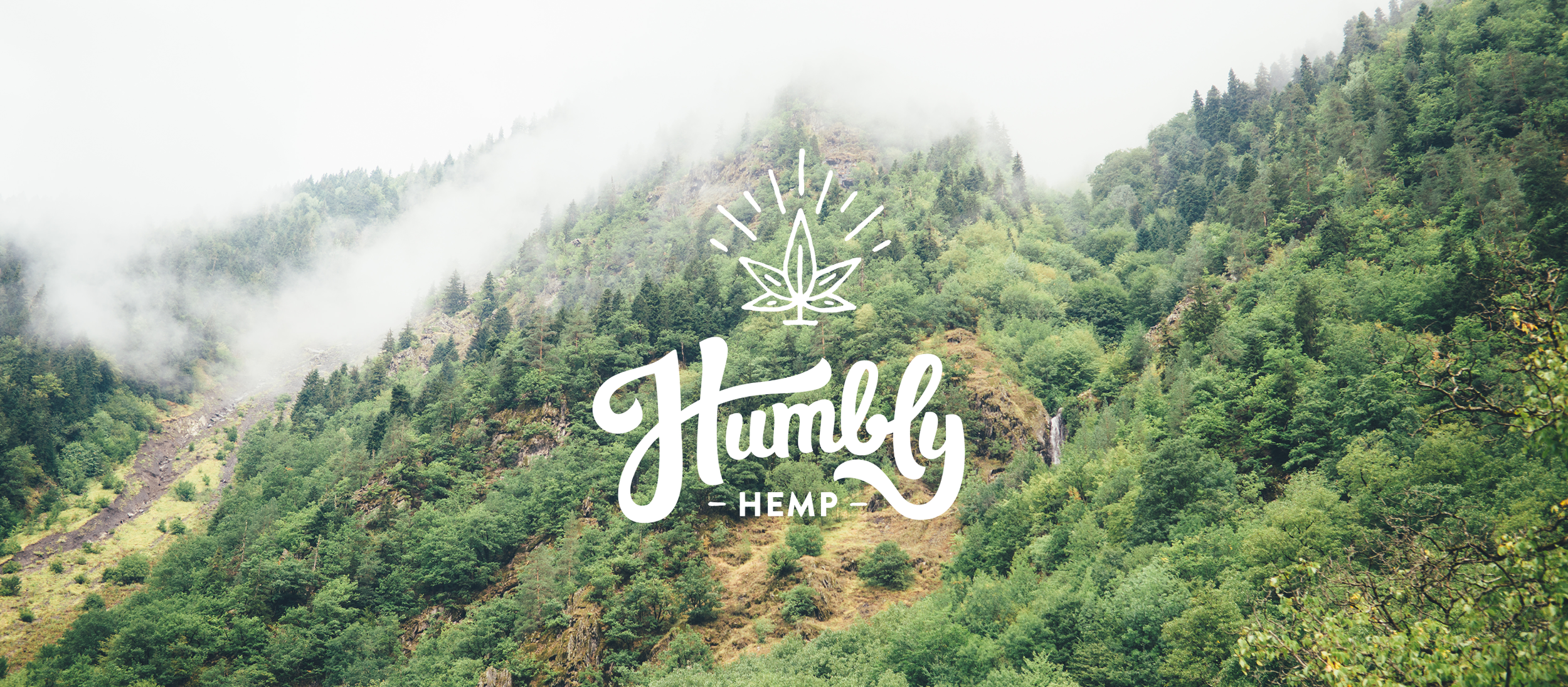 hh-logo-forsite-photobackground.png