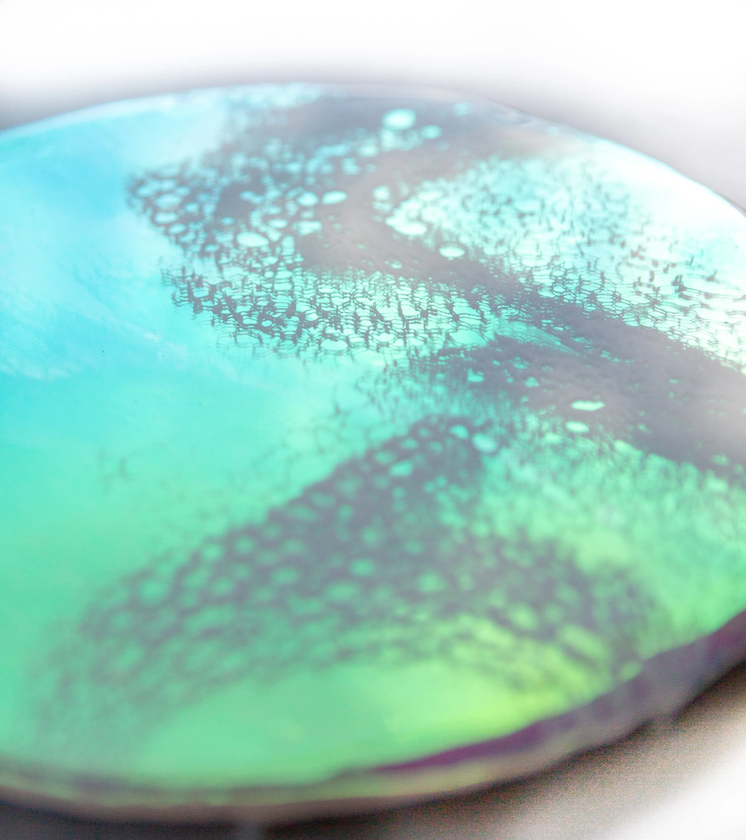 EC1904-etsy-06.jpg