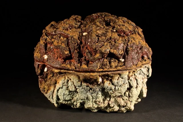 Rob Sieminski, Oval Lava Box, 2014, wood fired cone 11, ash, hand carved made from slabs, 6.5x8''