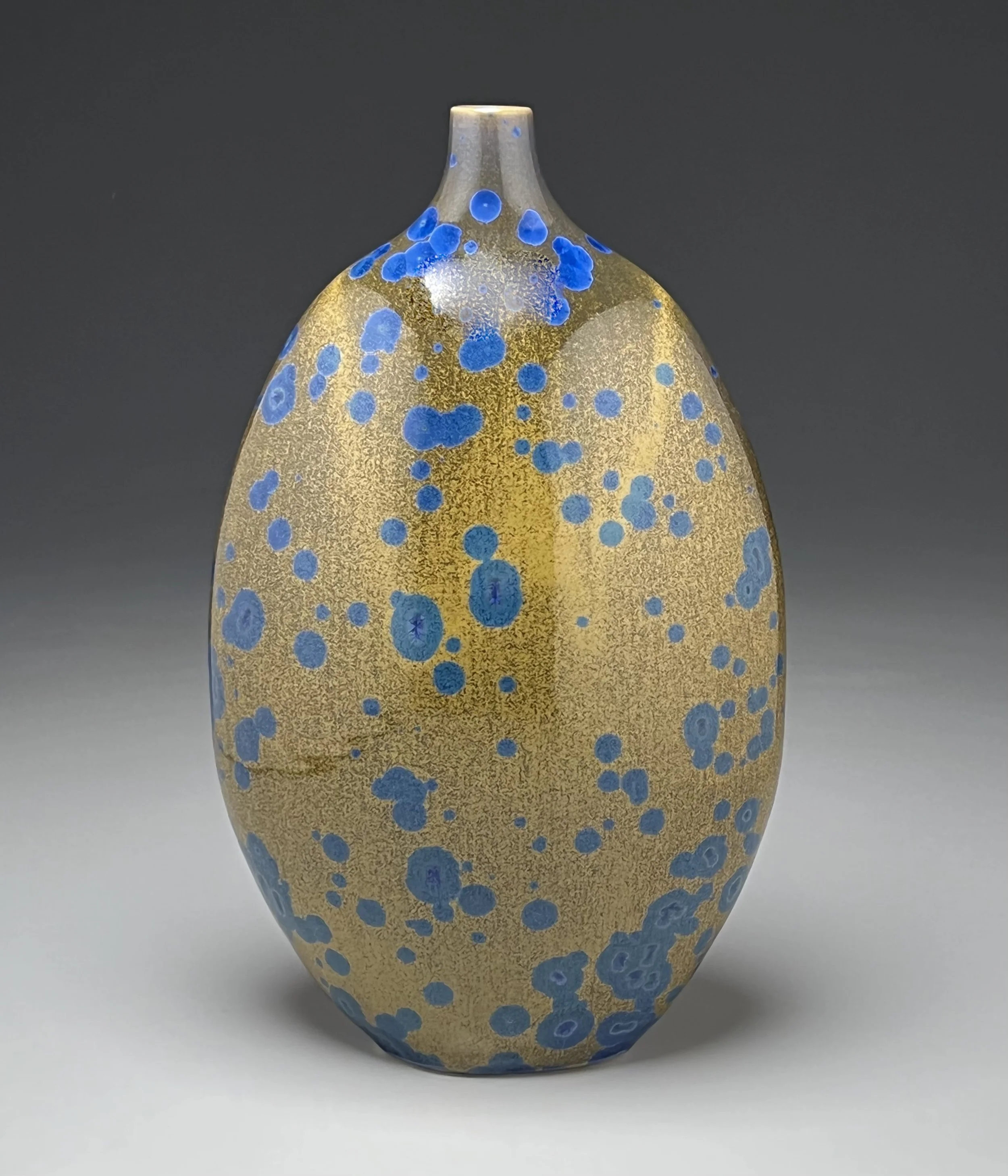 Altered Bottle in Blue Lichen-Ben OWen III.jpeg