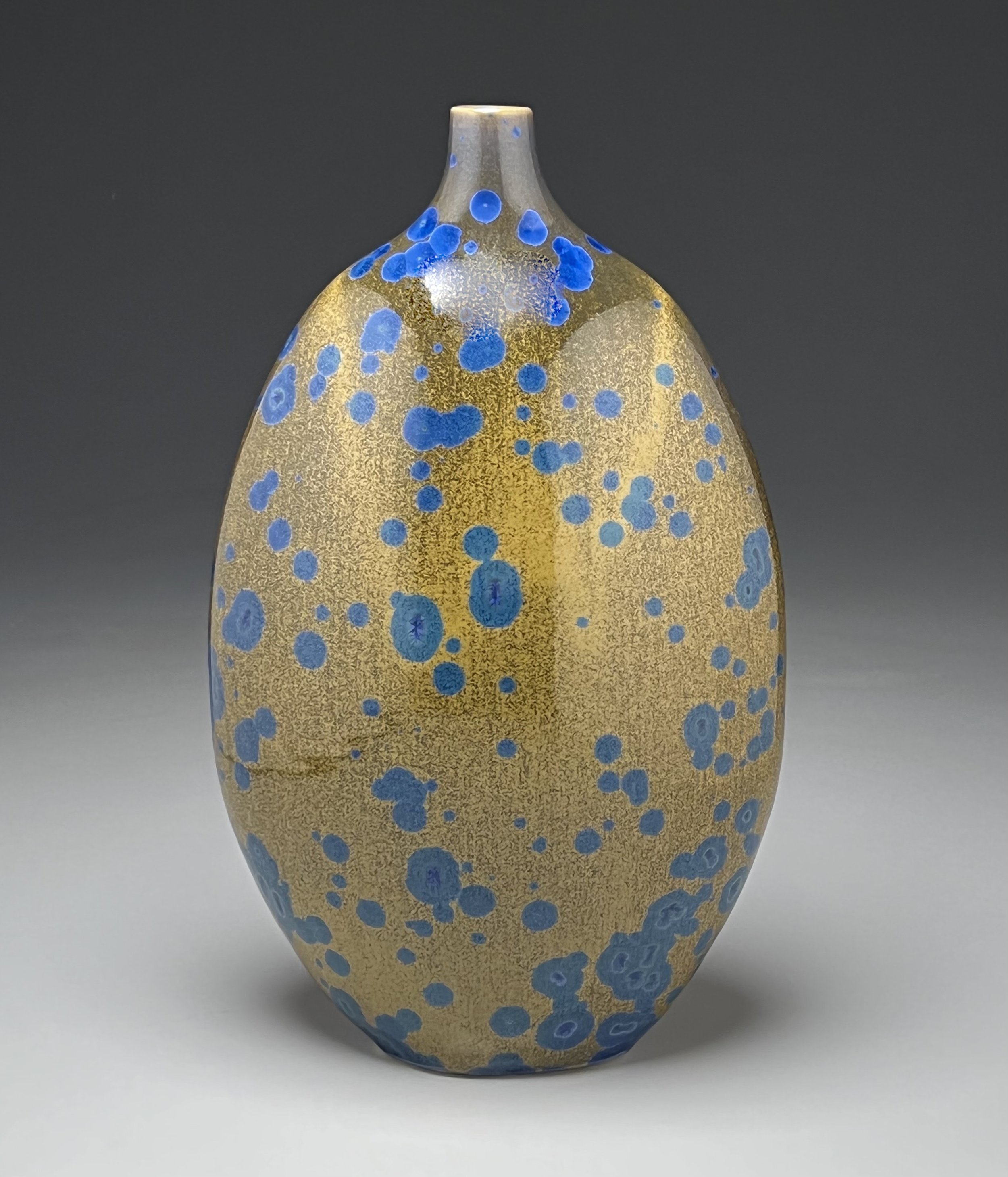 Altered Bottle in Blue Lichen-Ben OWen III.jpeg