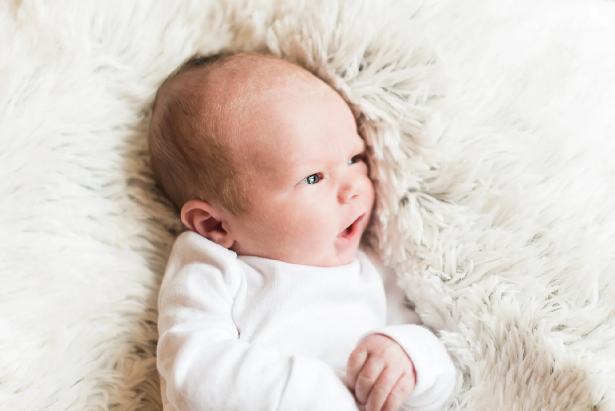 newborn-shoot-15.jpg