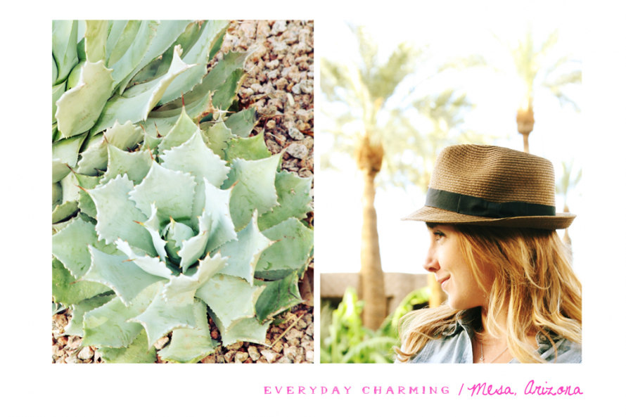laura in mesa3 use for blog