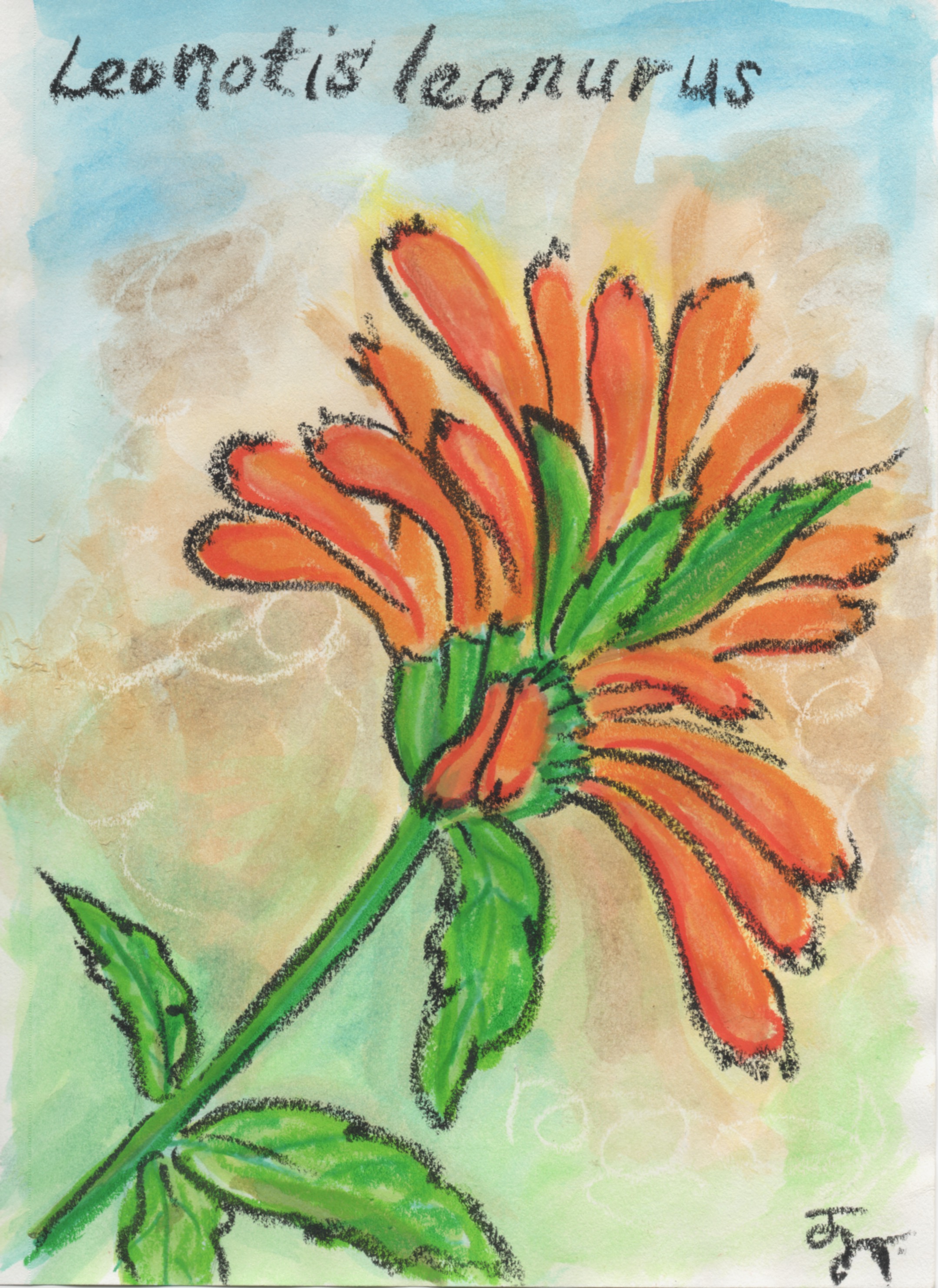 Lion's Tale Flower