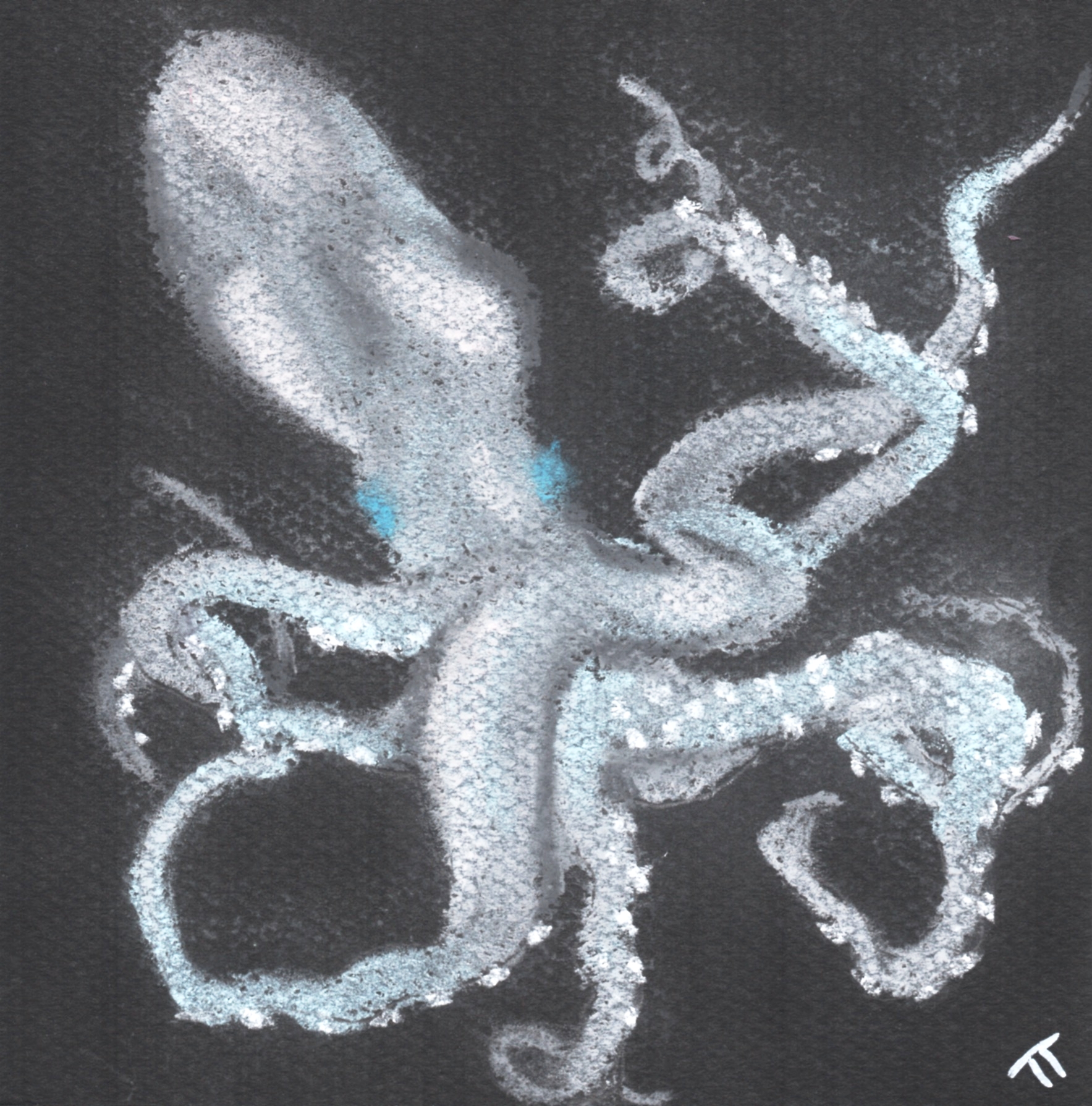 Pastel Octopus