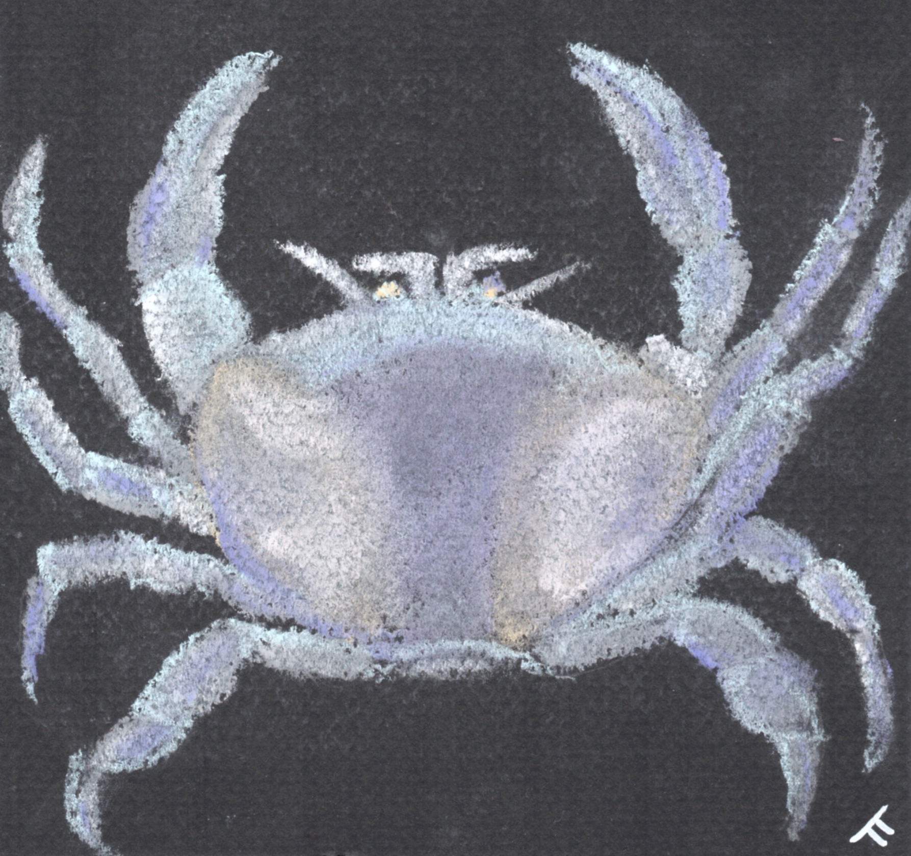 Pastel Cancer Crab