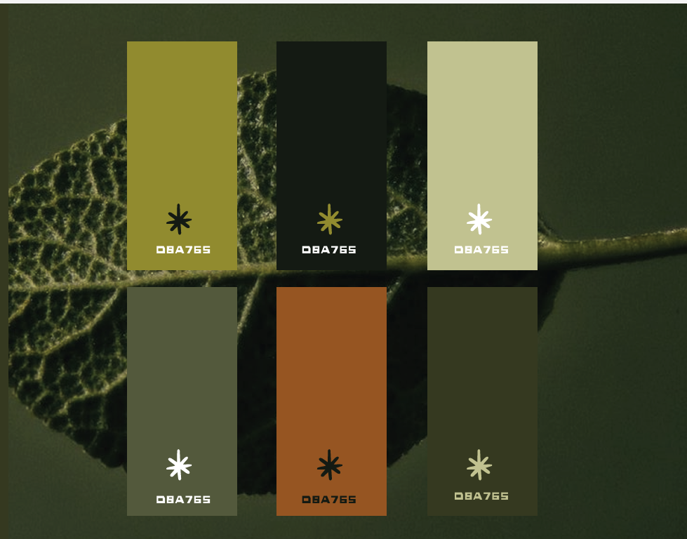 Screenshot 2026-04-29 at 9.42.35 AM.png