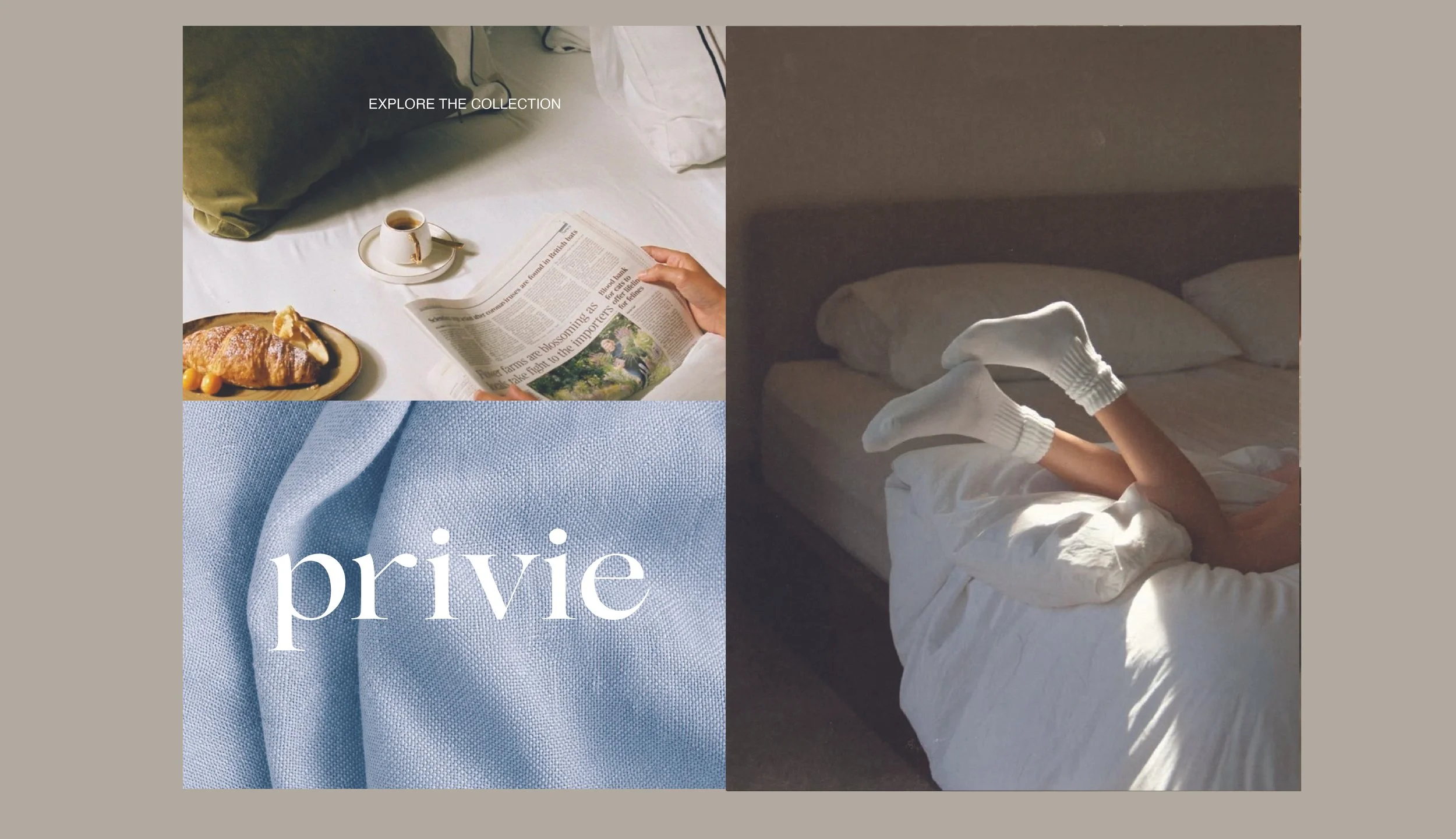 privie. Brand Guidelines . 2026. Final -23.jpg