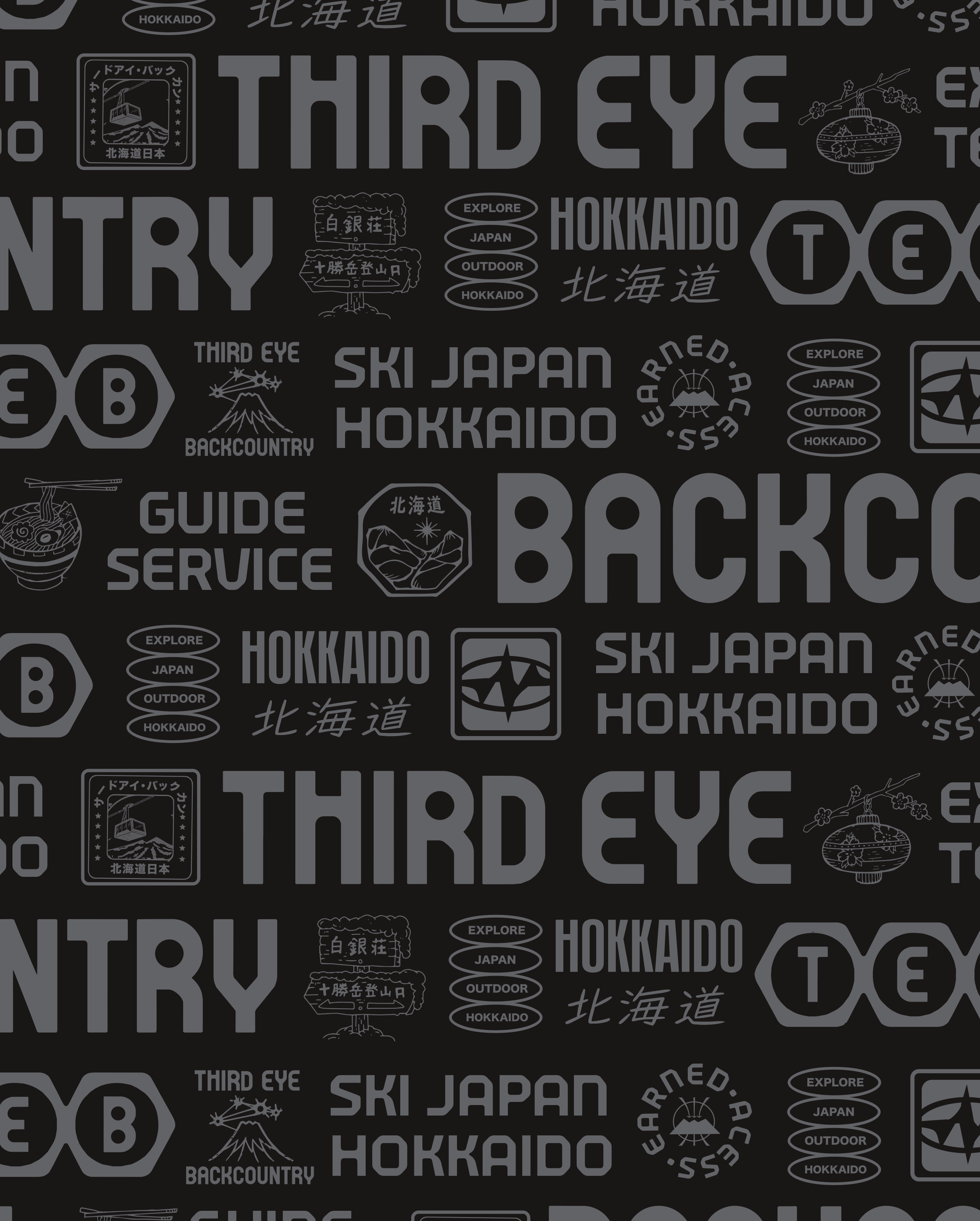 Third Eye Backcountry branding and logo design by Zachary Kiernan (20 of 32)