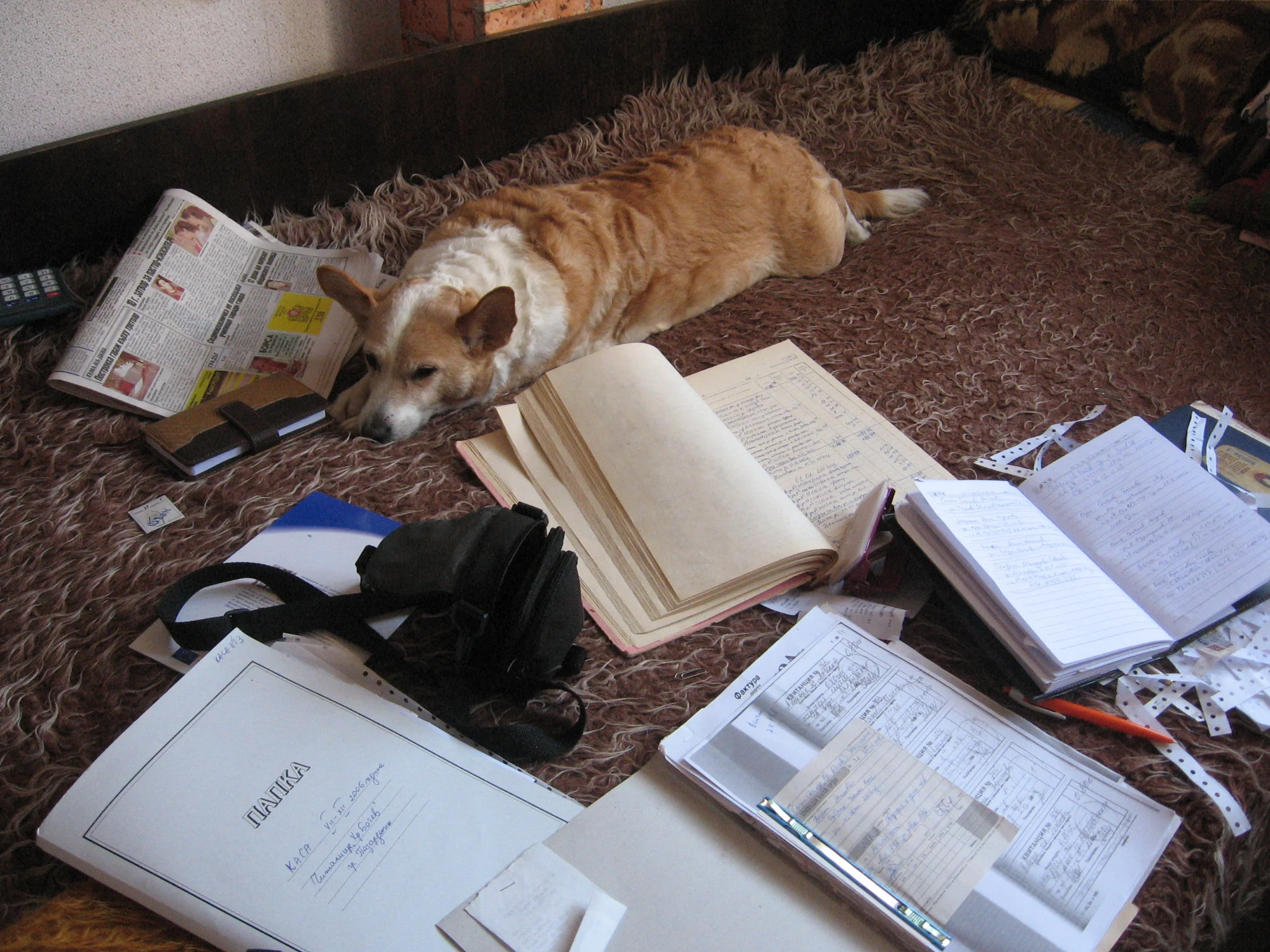 Navigating Logistics