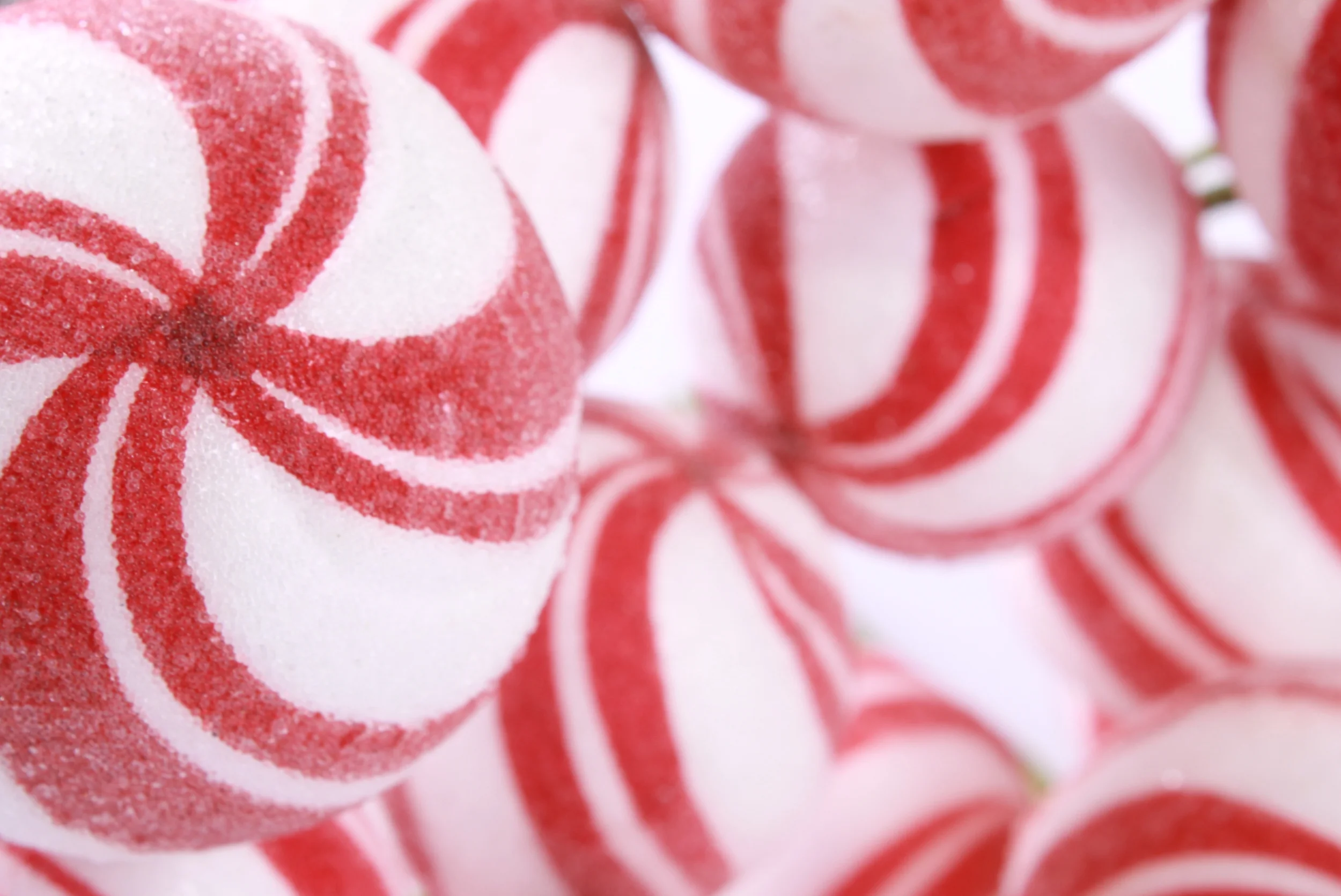 Building New Traditions in a Foster Home