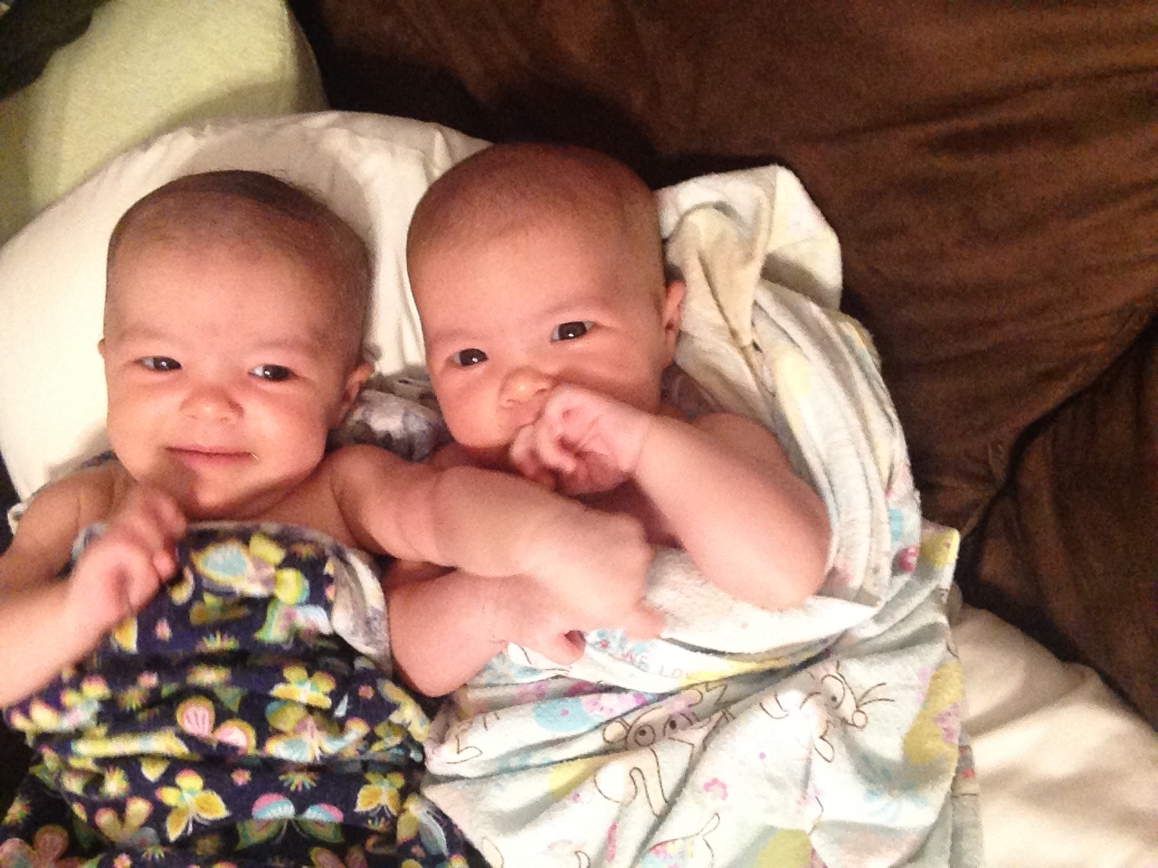 Babies 6 weeks old