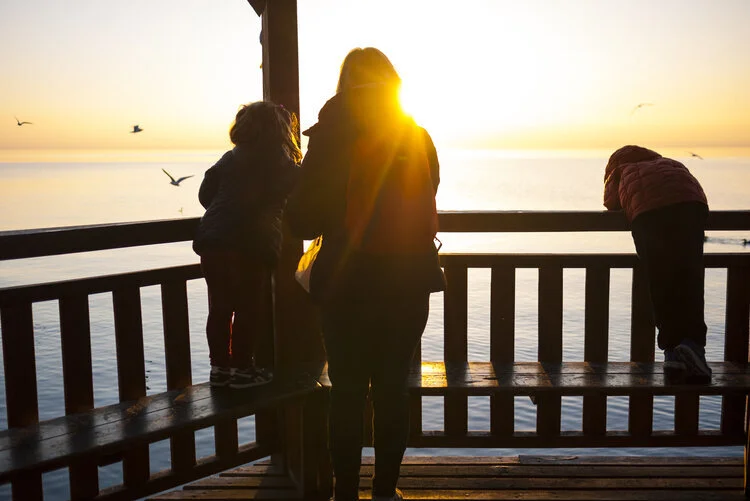 Where Are My Children?