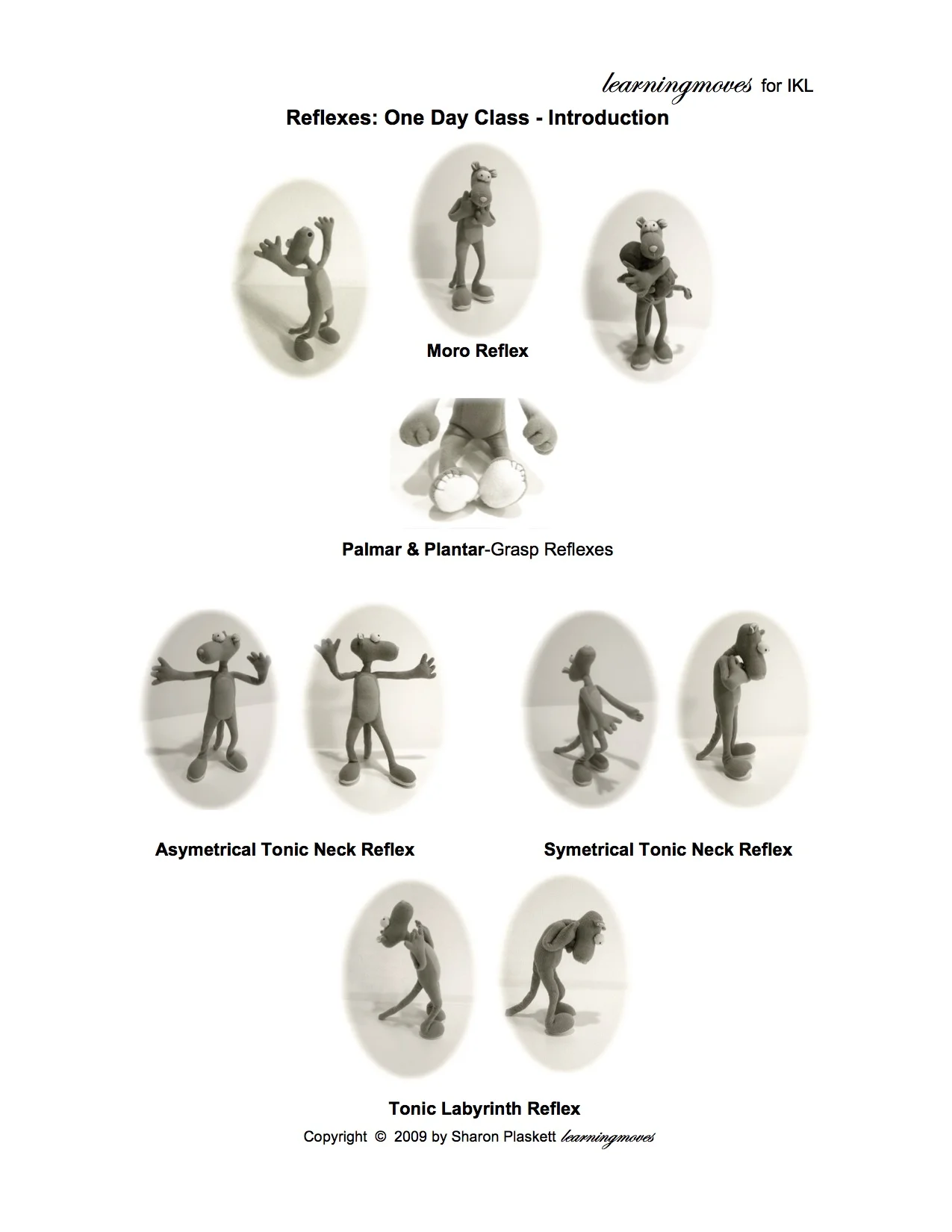 ChartsPDF OneDayReflxClassjpeg.jpg