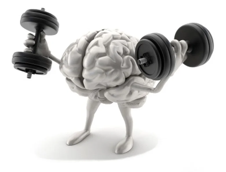 Improve Your Bone & Brain Health With This Simple Vitamin That You Have Probably Never Heard Of