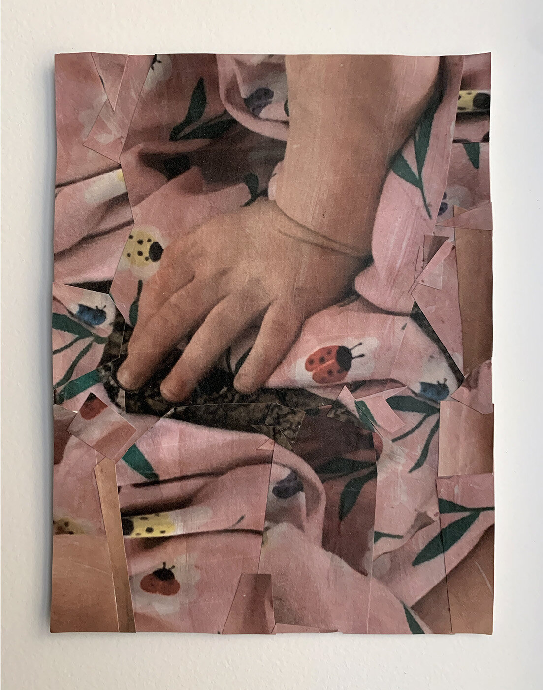    Domestic Material : Touching Ground (Ladybug Dress)    6x8 