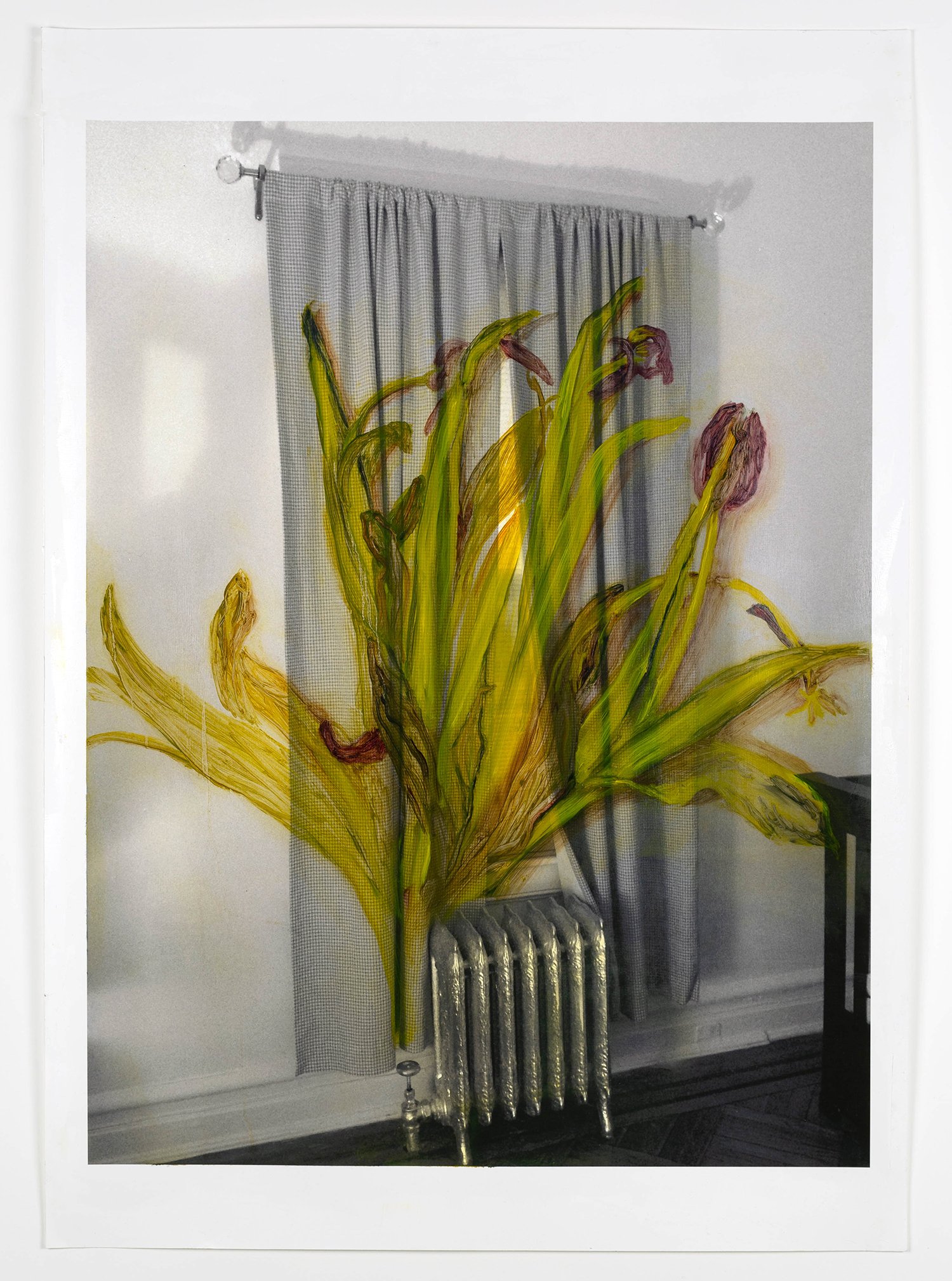 Tulips Over the Radiator (Or, How to Make Home)