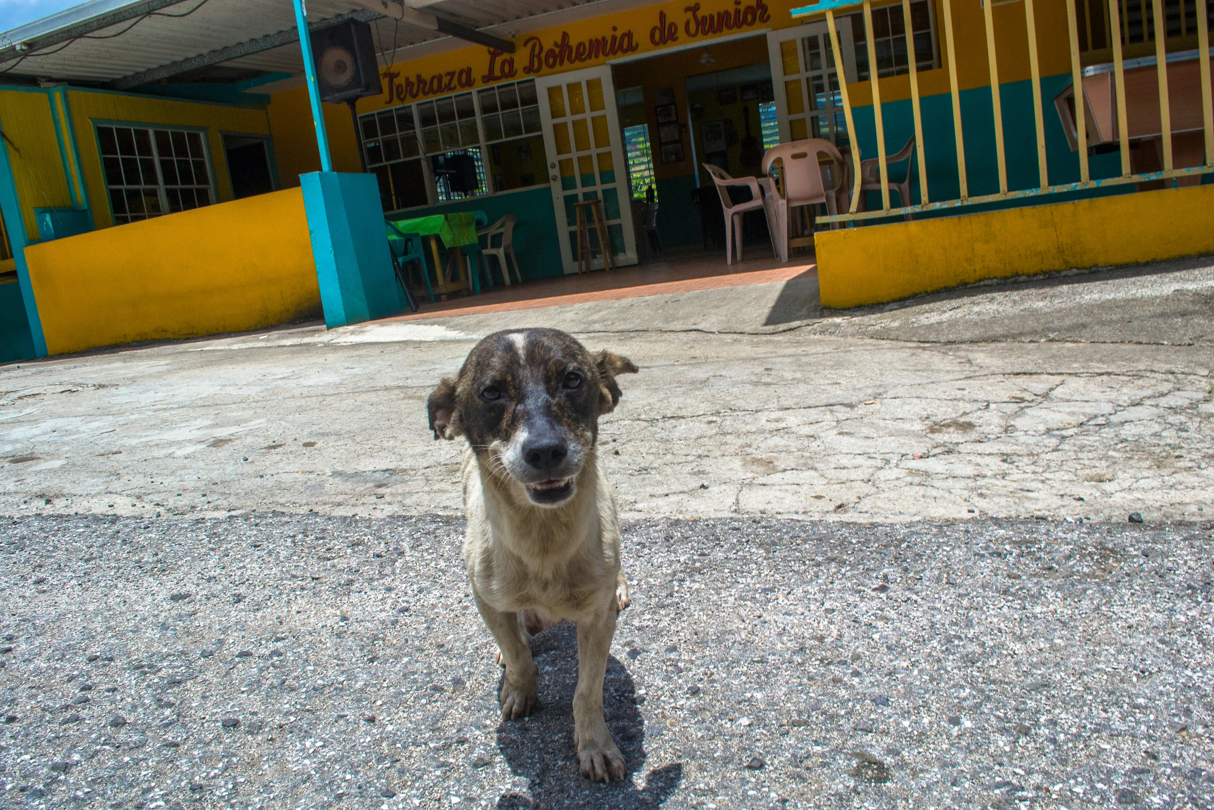 DSC_0832.jpg