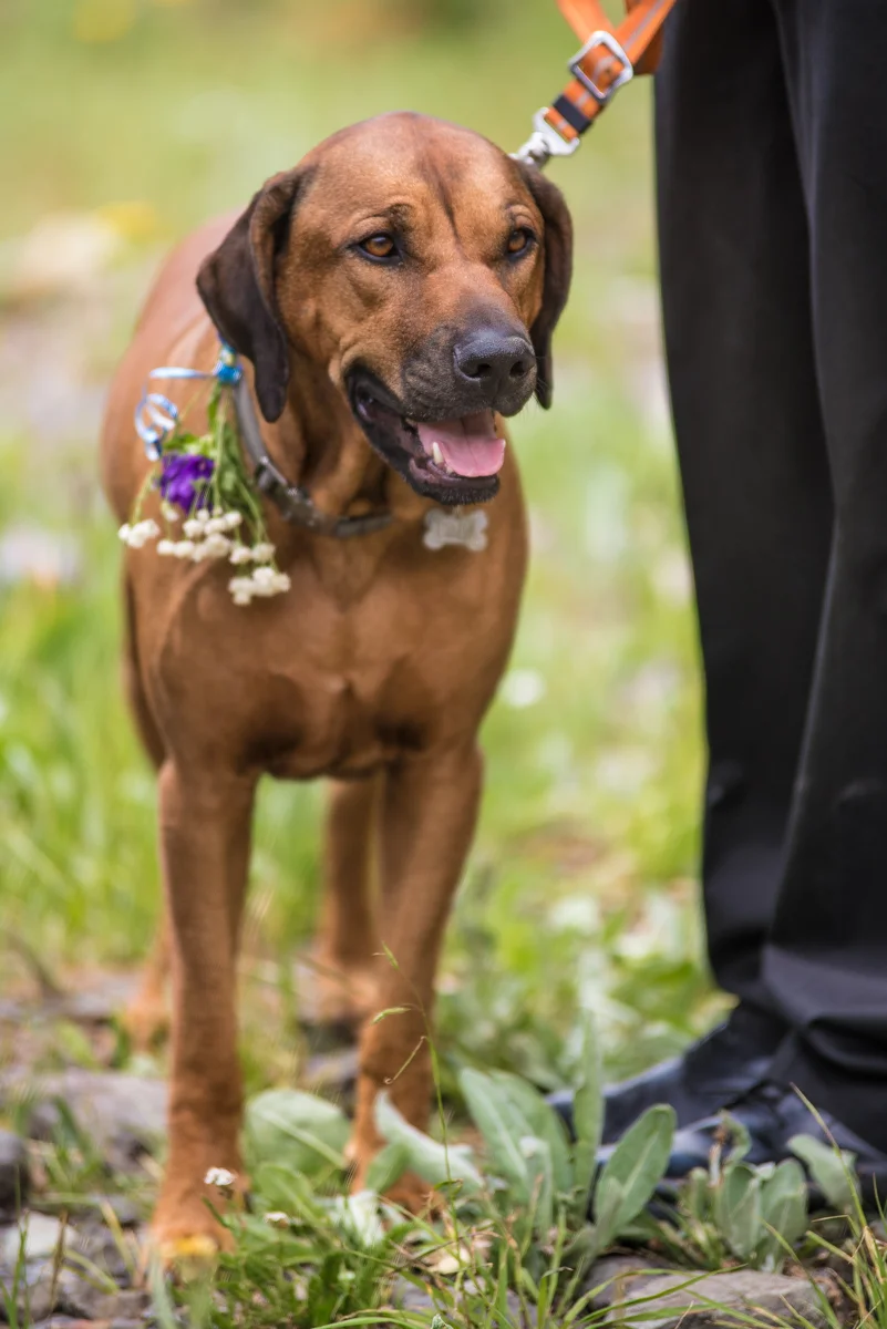 Madelyn_Gray_Photography_Facebook-1.jpg