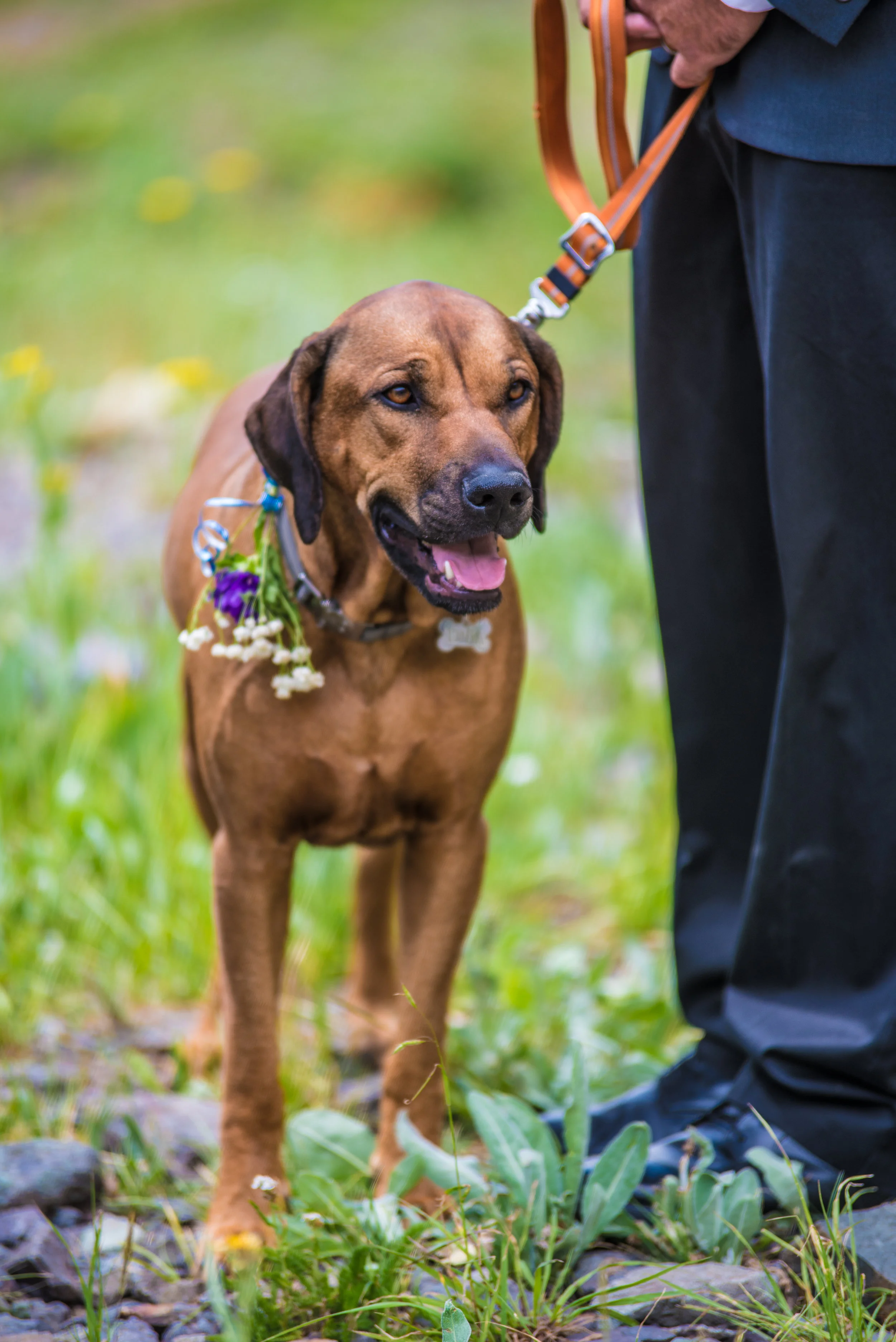 Madelyn_Gray_Photography_BEST-6.jpg