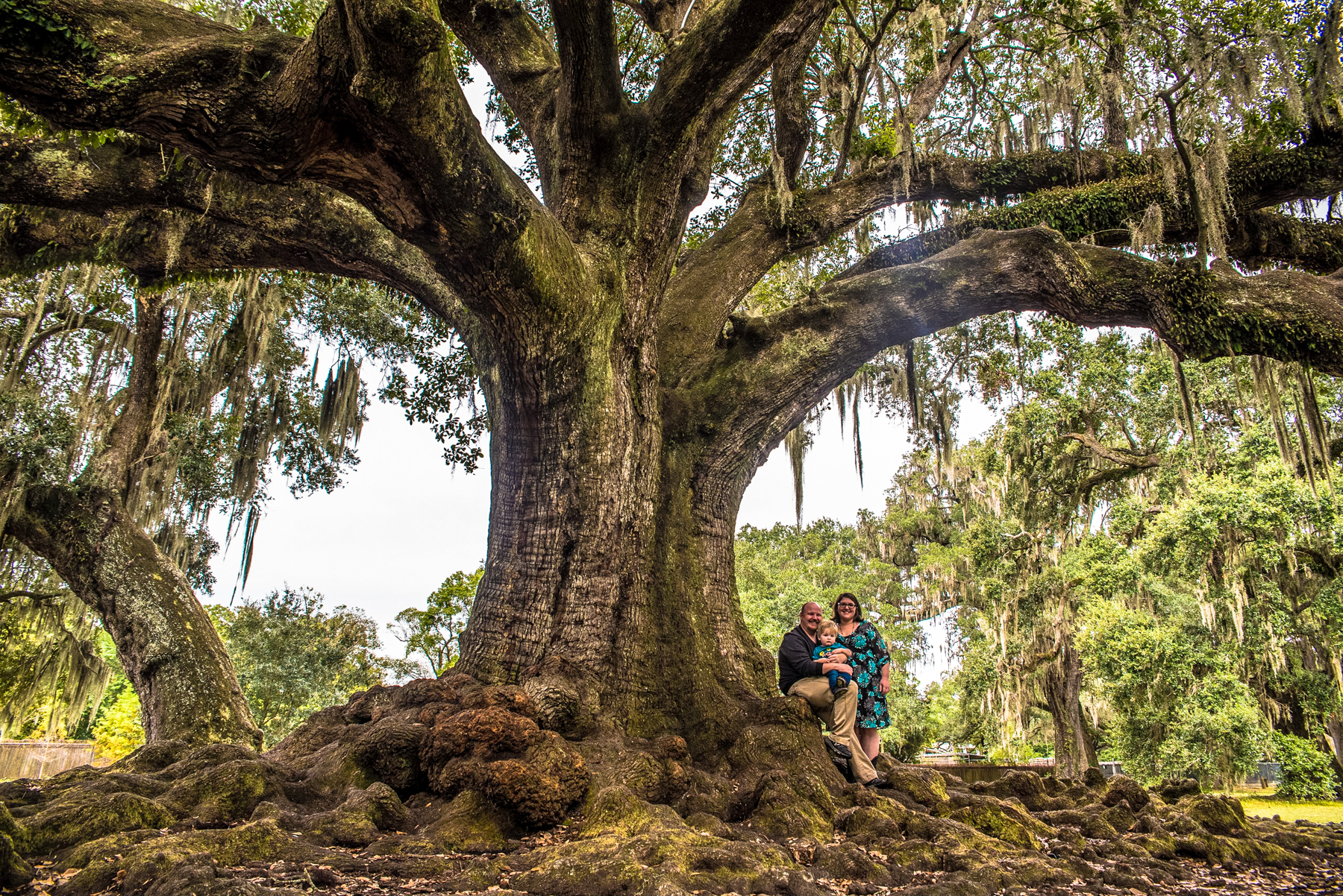 madgrayphoto.com-Murphys-NOLA-2.jpg