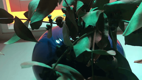 GIF_Vase_Colours.gif