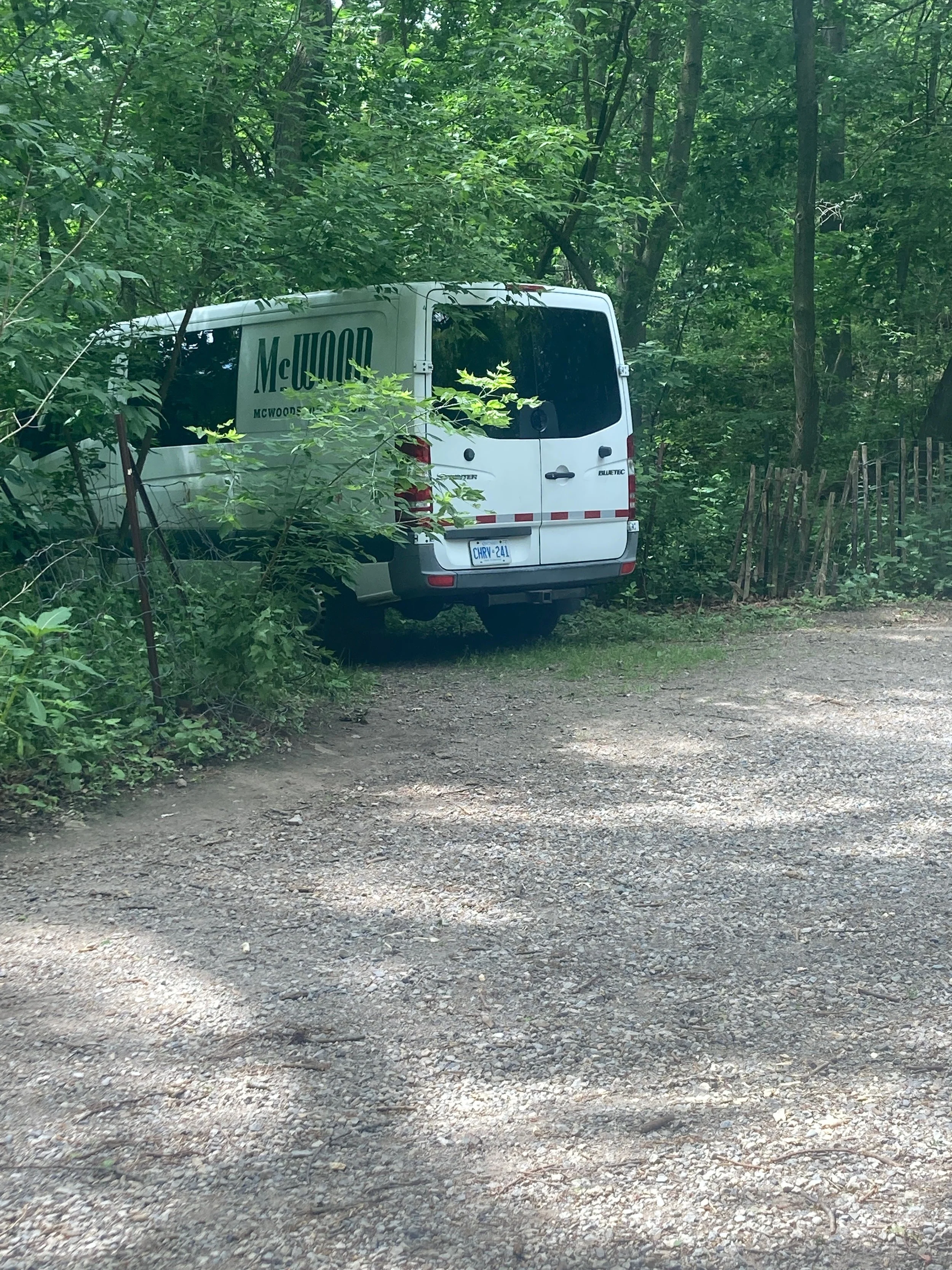 The folks from McWood were spotted 'living in a van down by the river'!

We are always happy to work with Canadian Stage. This year they are mounting Shakespeare's Twelfth Night for Dreams in High Park.
Twelfth Night runs July 12-Sept 6, 2026.
We wil