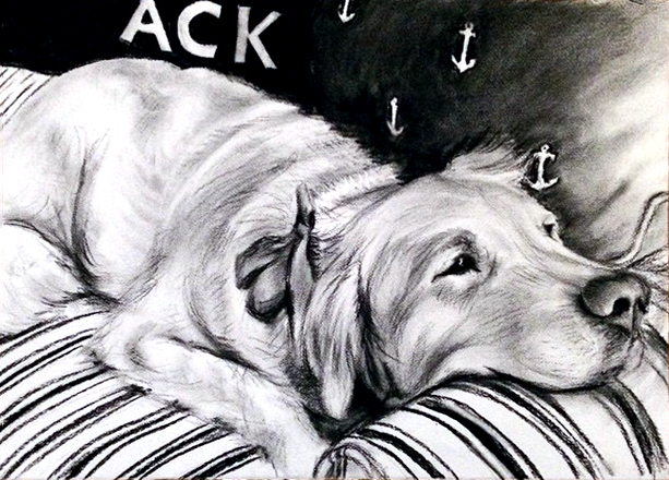 Golden (charcoal on paper 18"x 24")