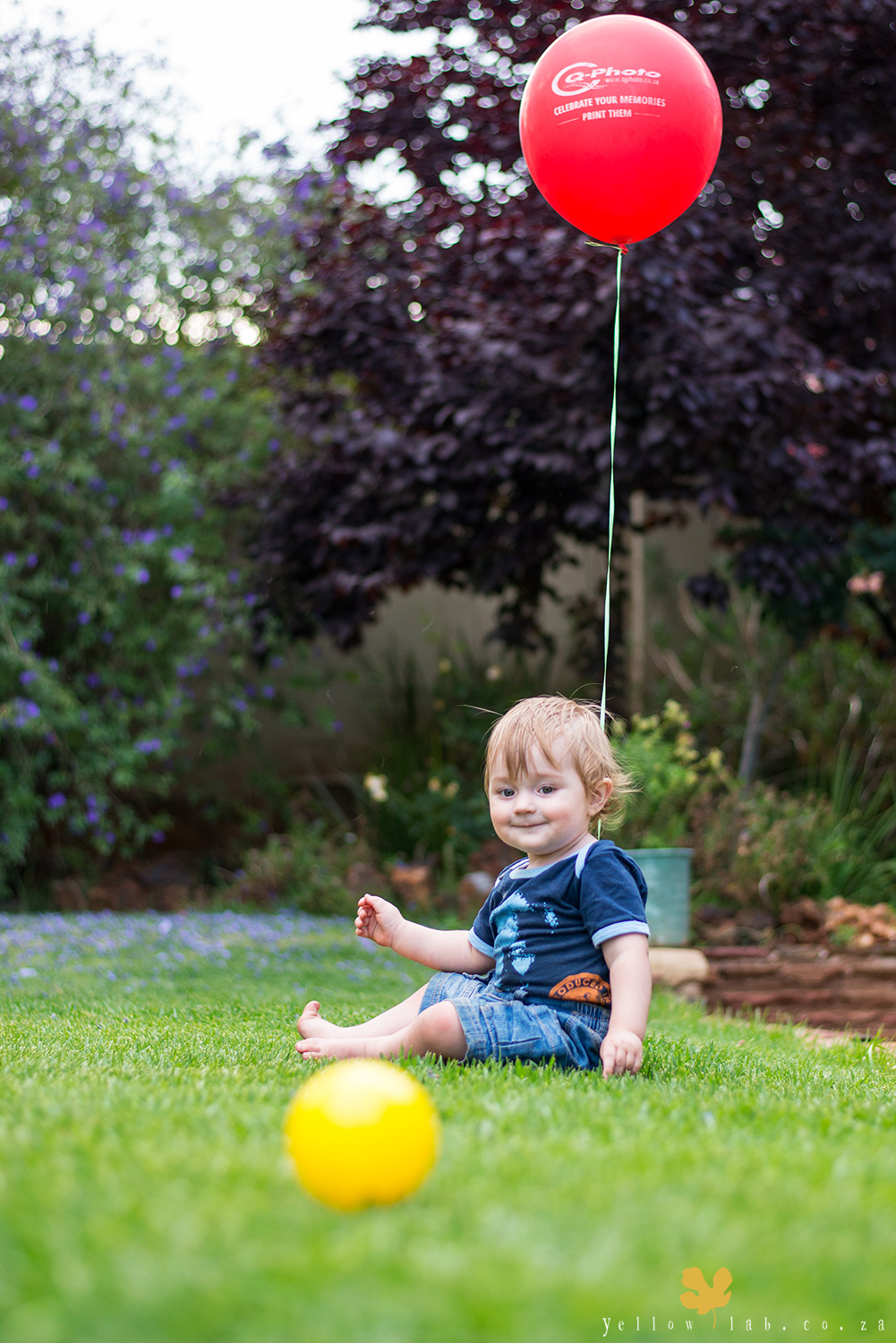 yellow-lab-balloon1.jpg