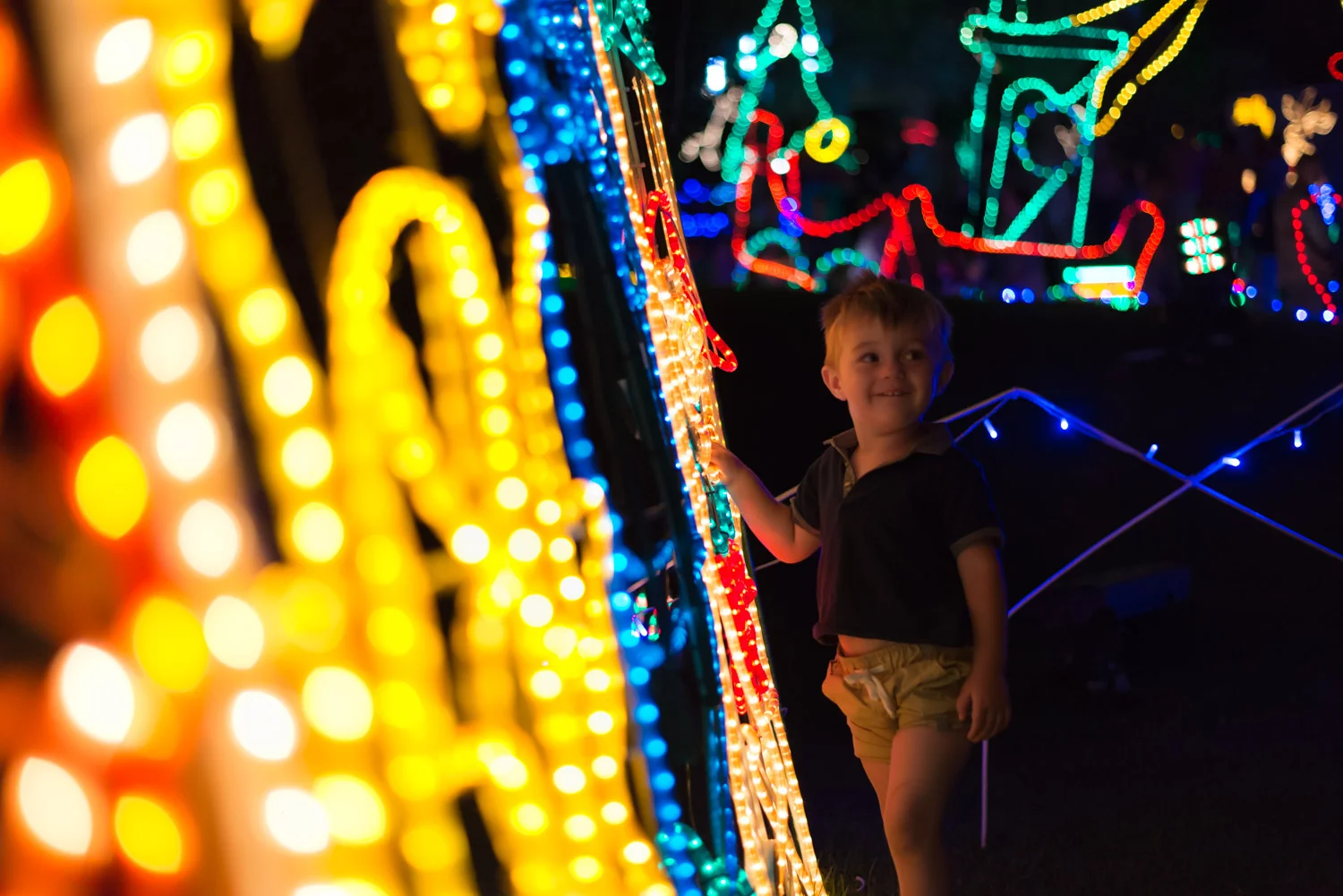 yellowlablights-8.jpg