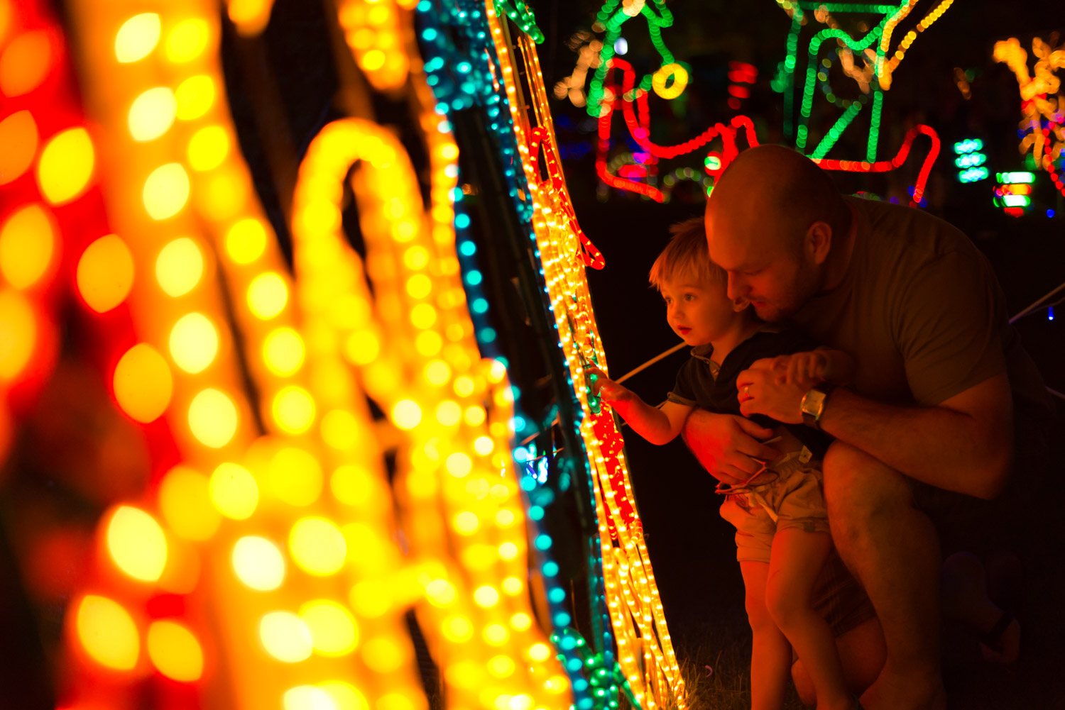 yellowlablights-9.jpg