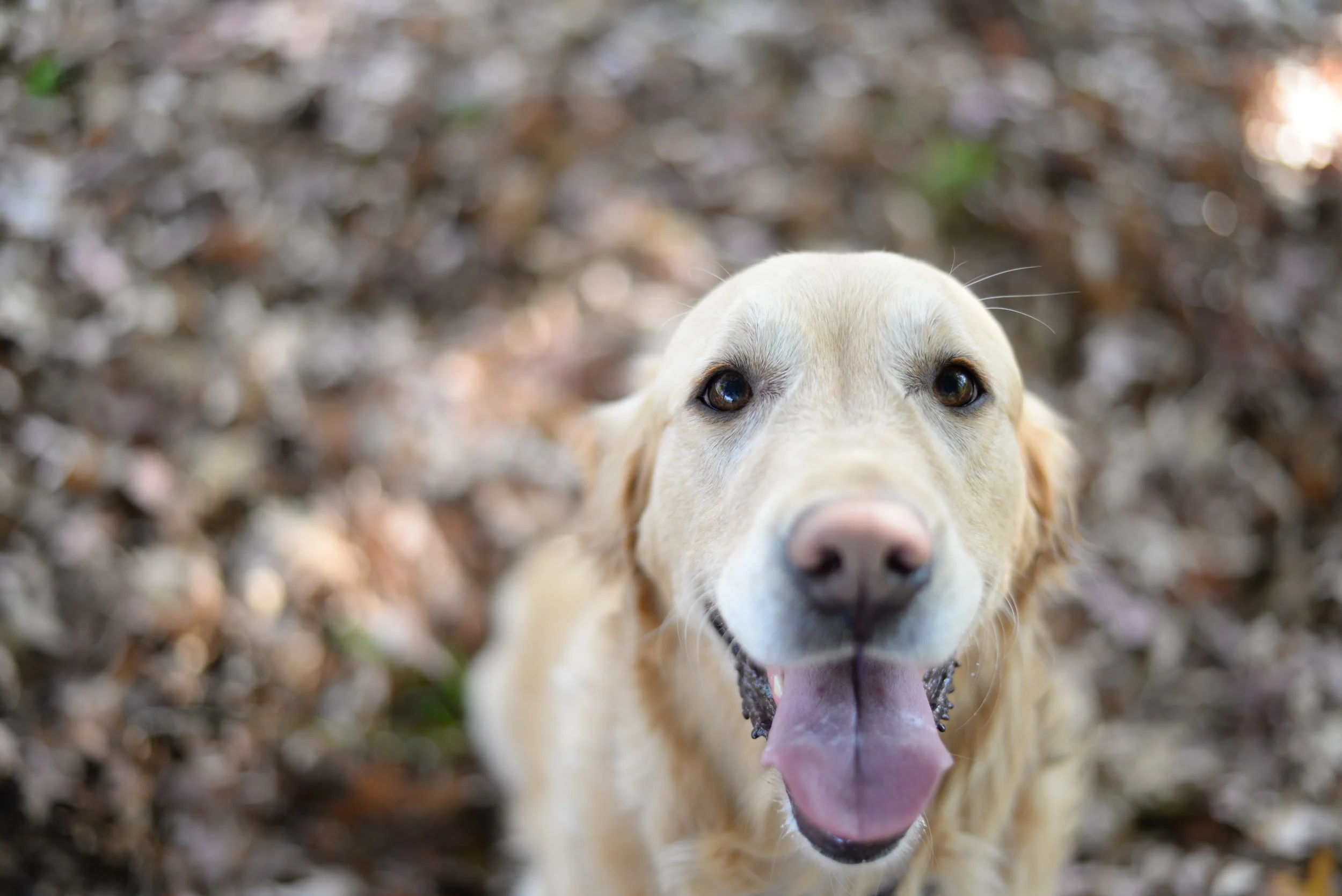 Best things to love about autumn