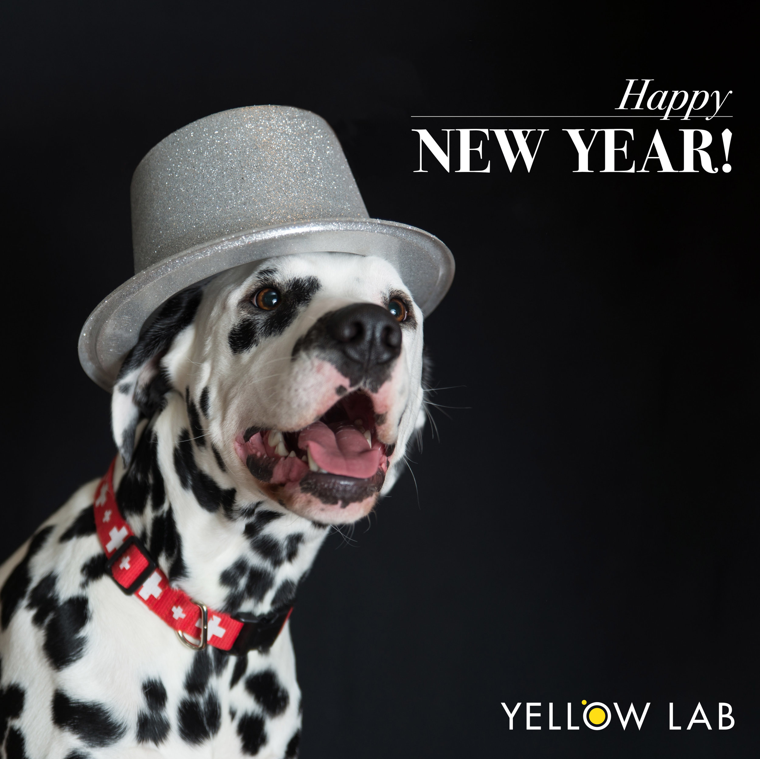 happy new year enzo.jpg