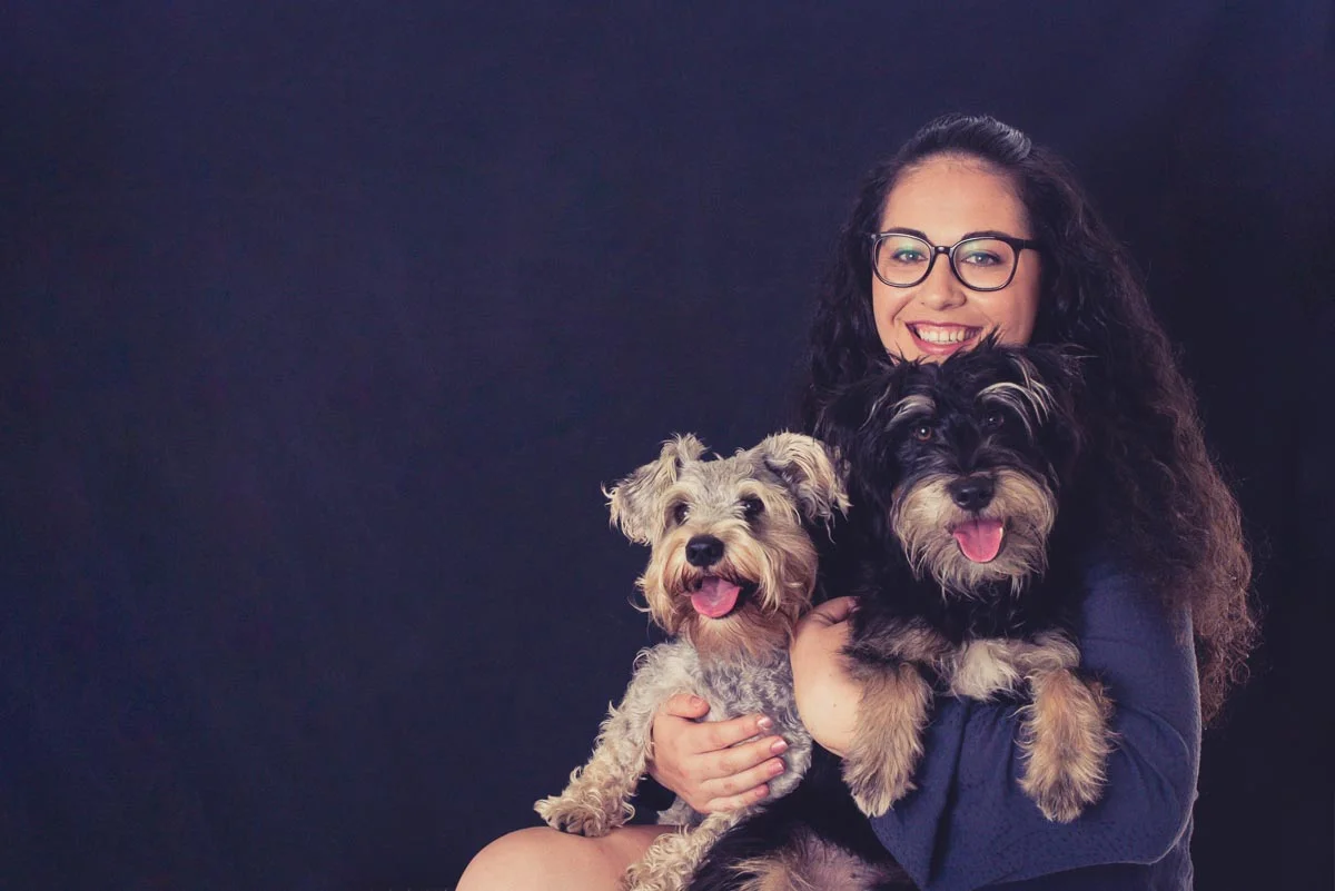 2 schnauzers in Auckland studio — Yellow Lab Pet Photographer