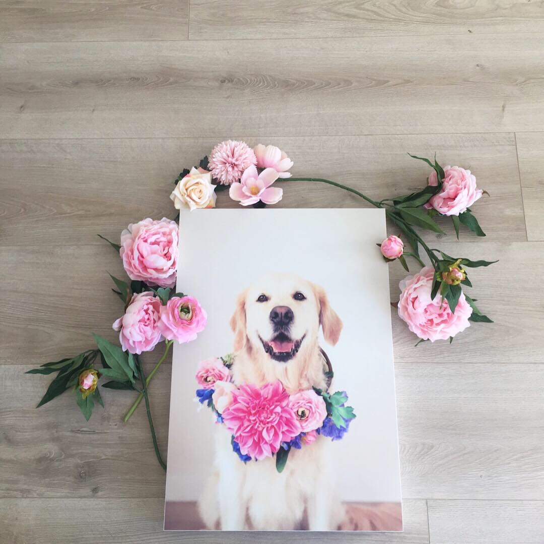 retriever wall art