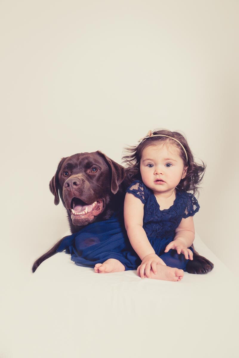 child and dog photography auckland