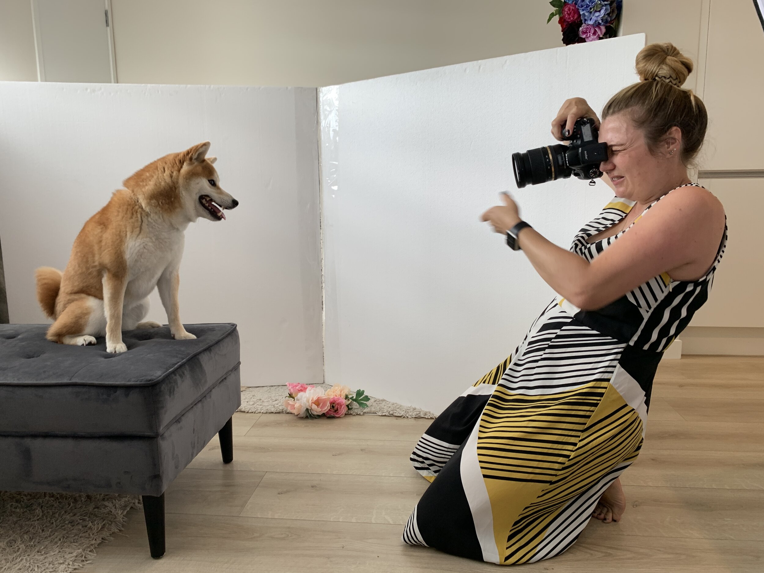 dog and family photographer